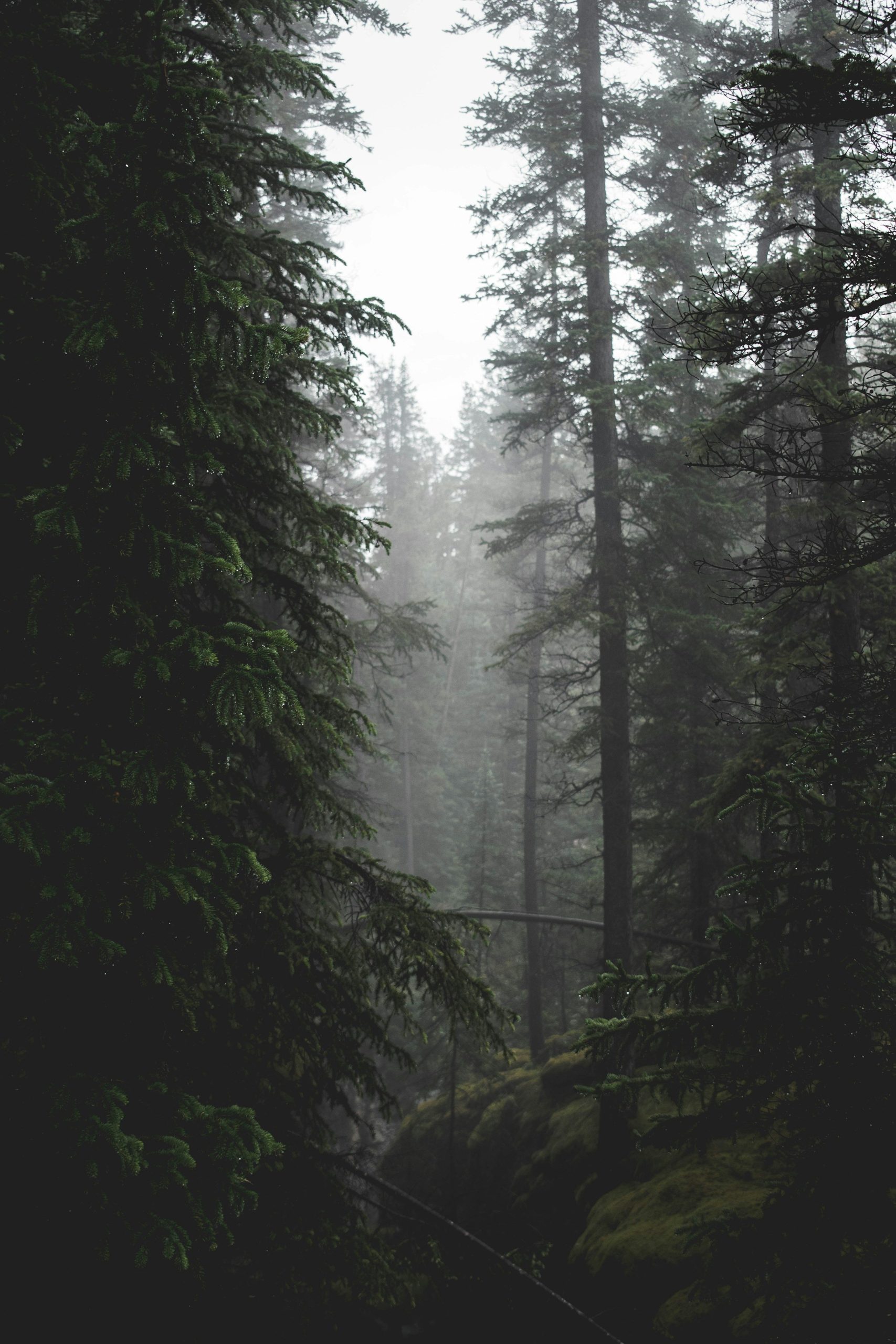 Ultra HD Wallpaper