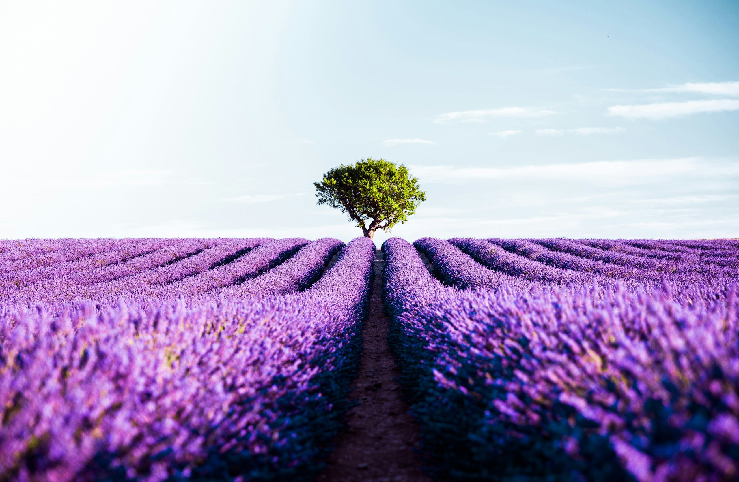 Ultra HD Wallpaper