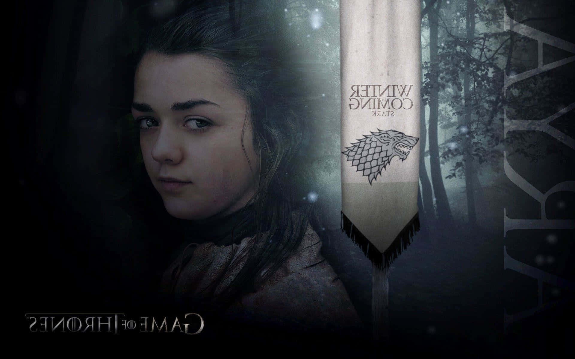 Arya Stark in a dark forest holding her Stark banner with direwolf sigil.