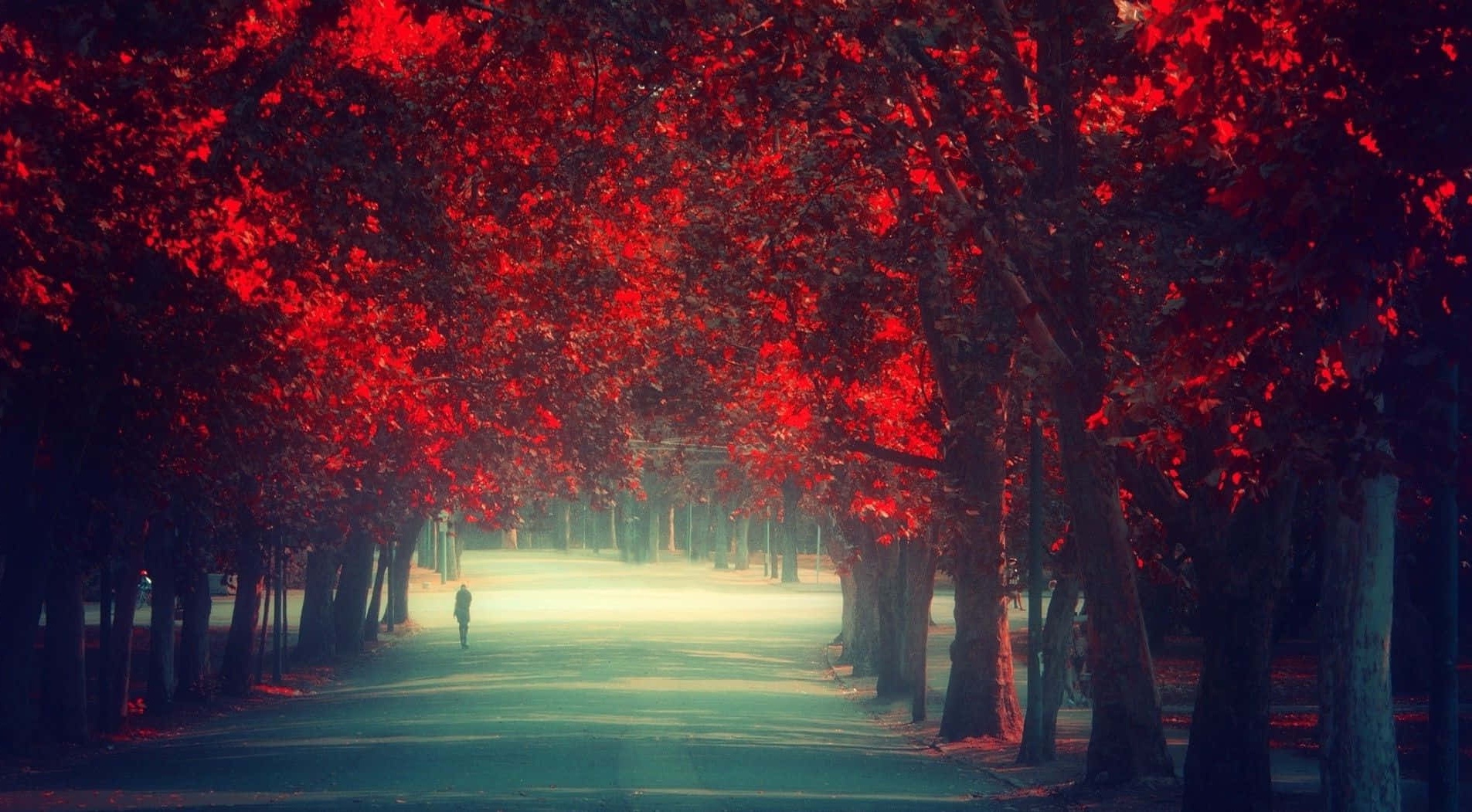 A solitary person walks through a tunnel of red-leafed trees in a misty autumn park.