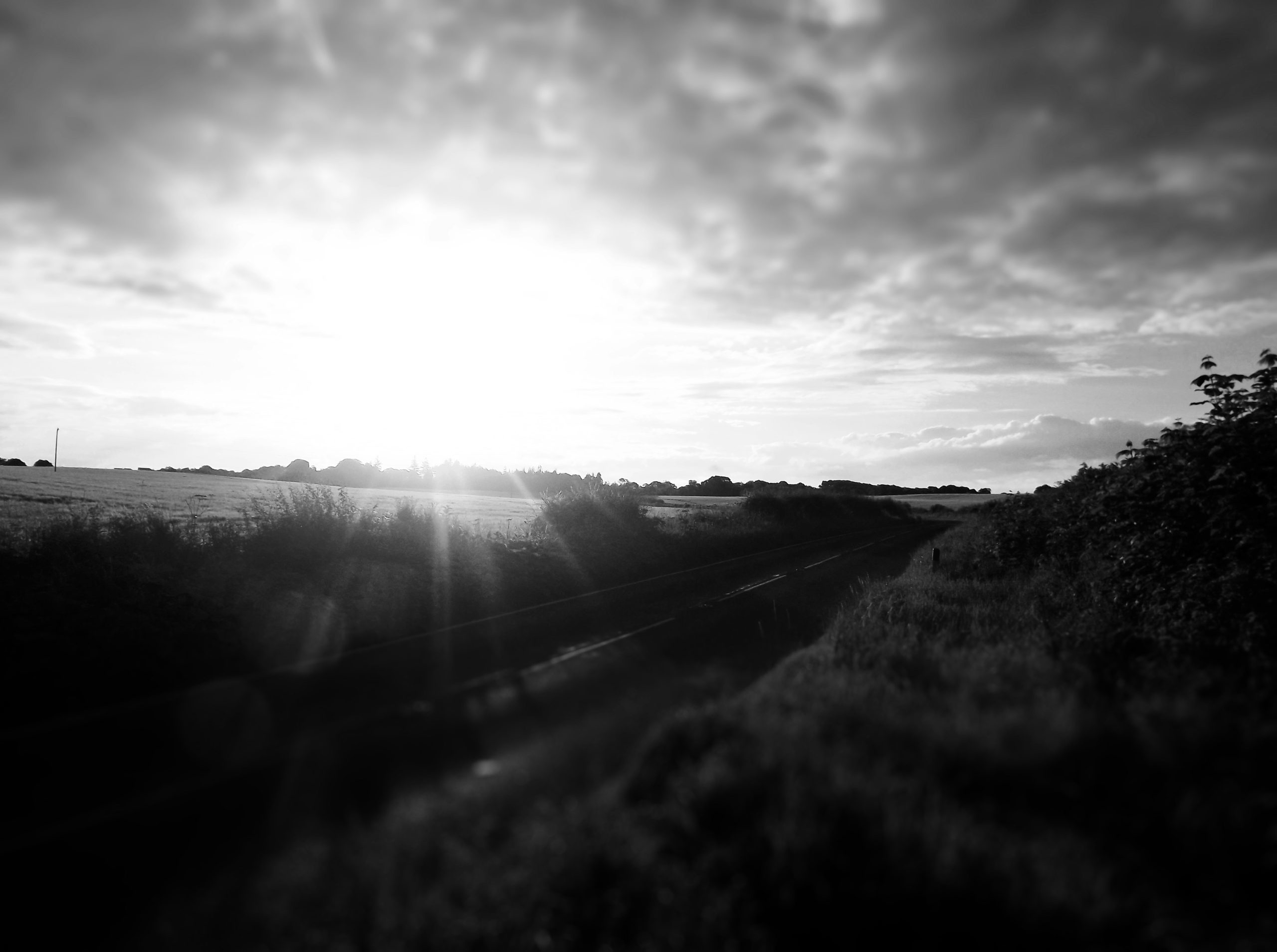 subtle stellar panorama