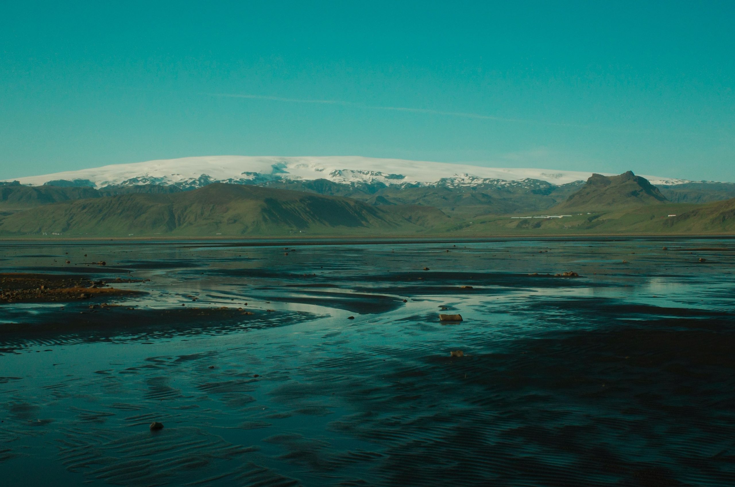 Snow-capped mountains rise above a green valley and plants.