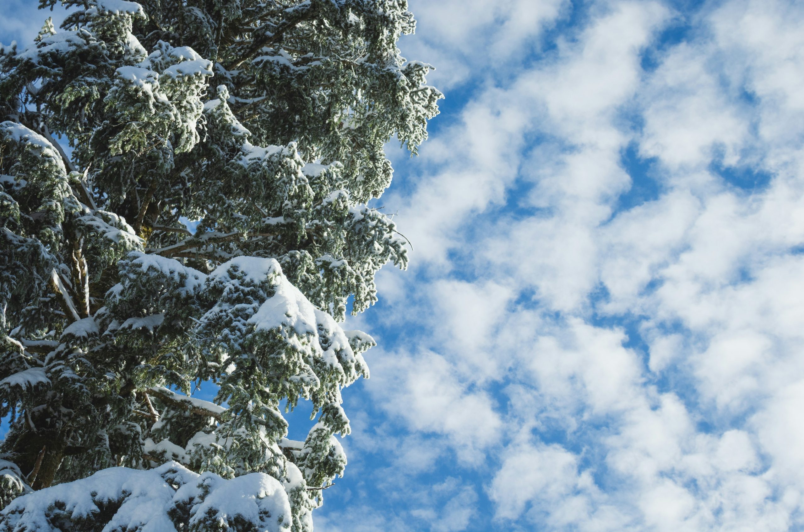 Snow-covered mountain peak under a cloudy sky