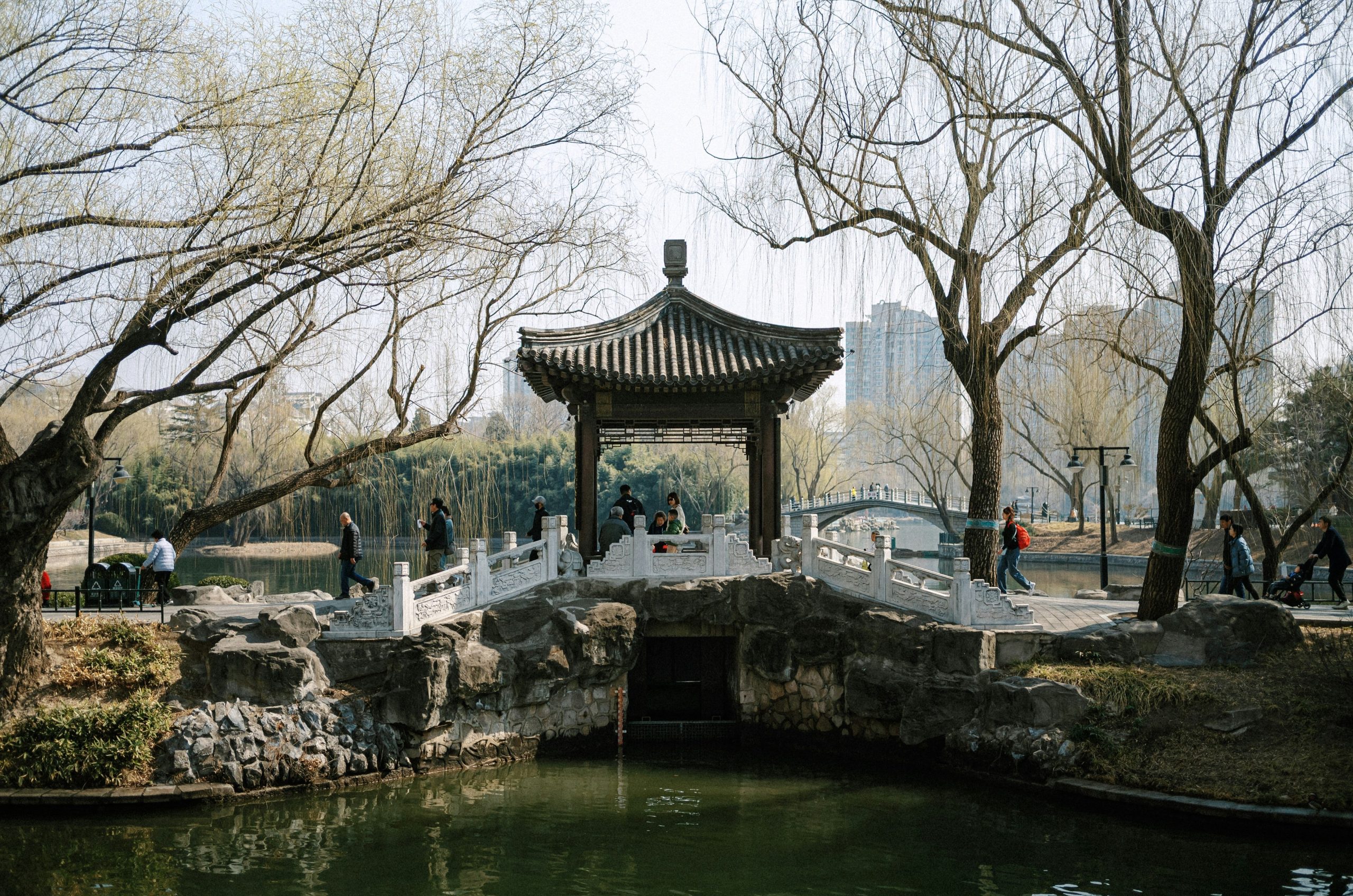 Traditional temple roof in front of modern skyscrapers