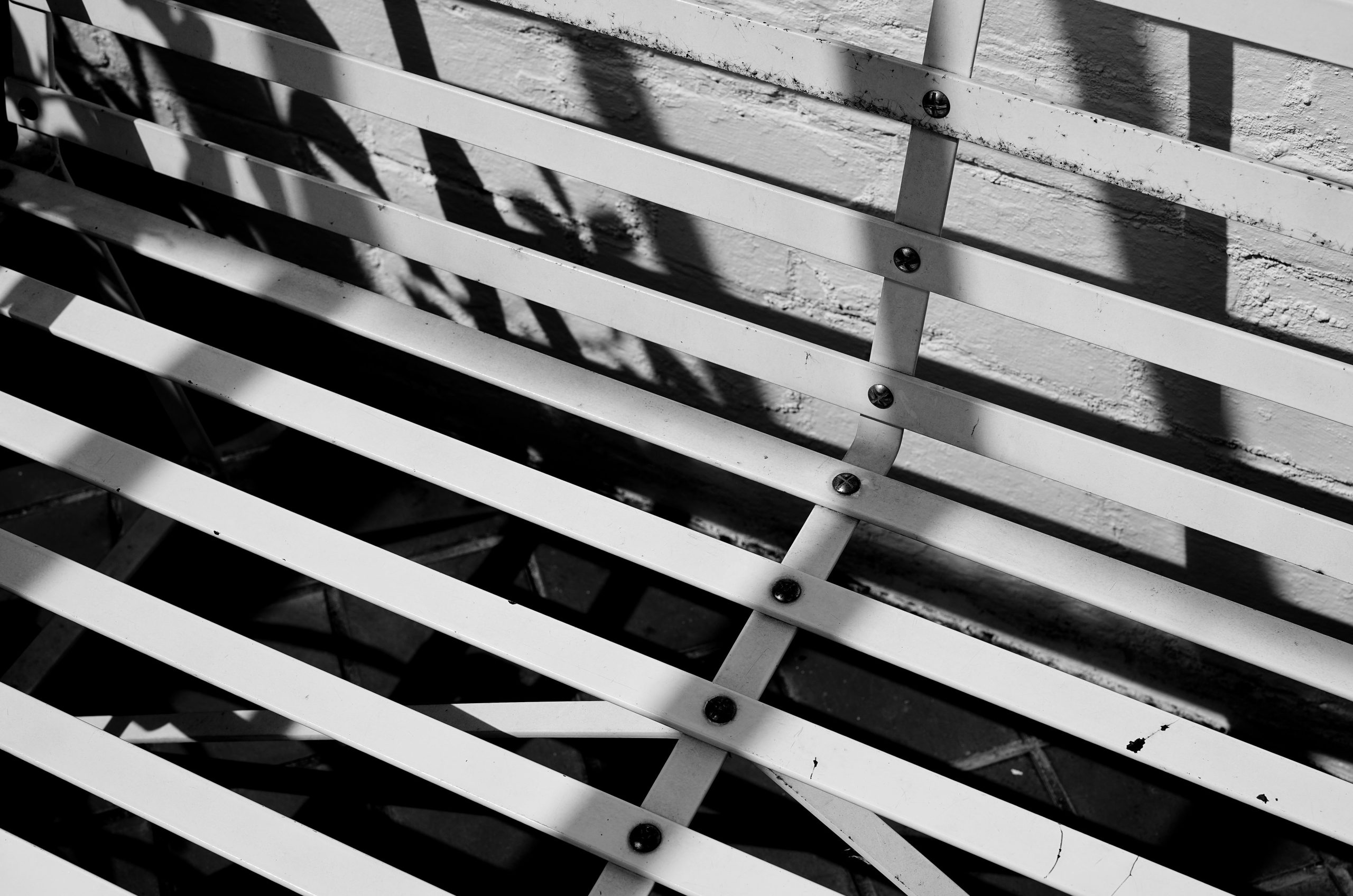 Black and white chick standing on a light-colored pipe.