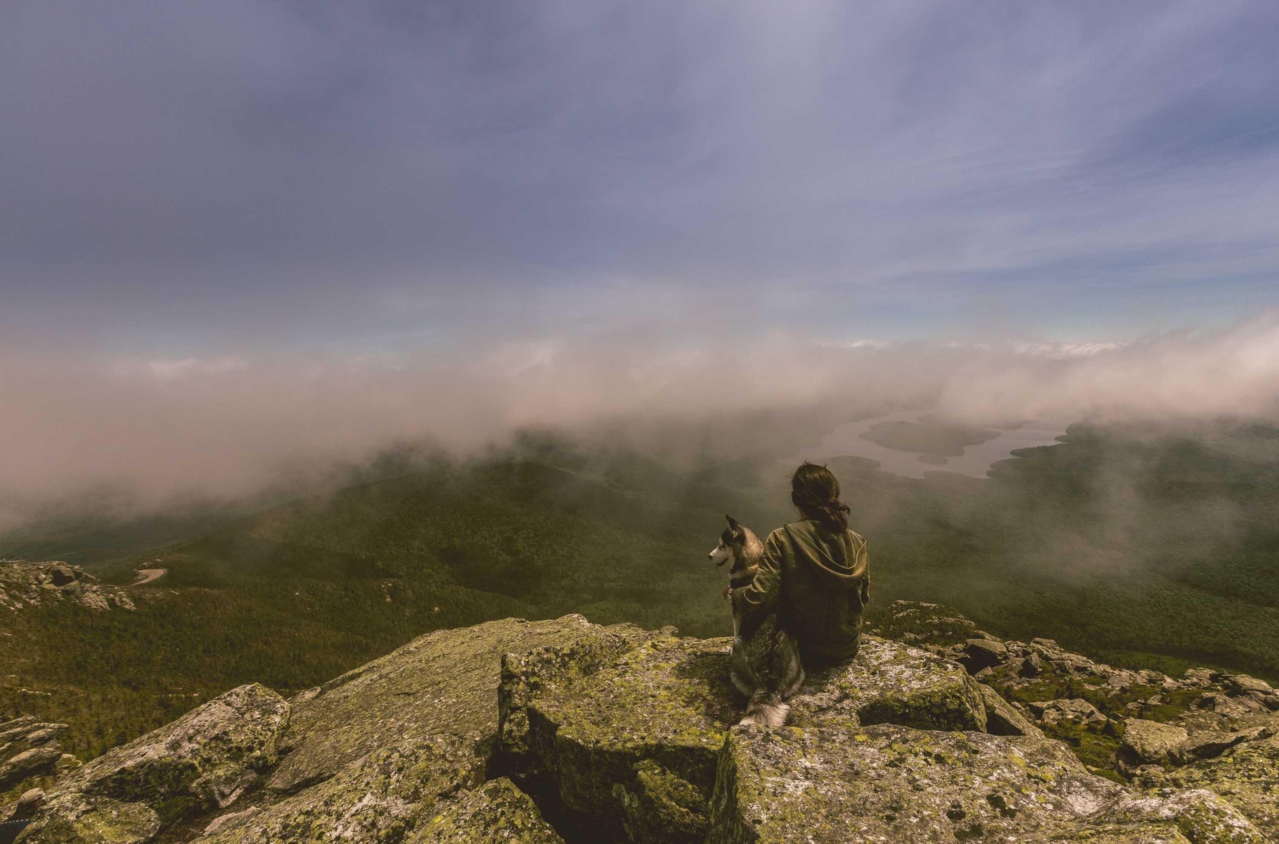 Mystical purple haze enveloping a foggy mountain landscape