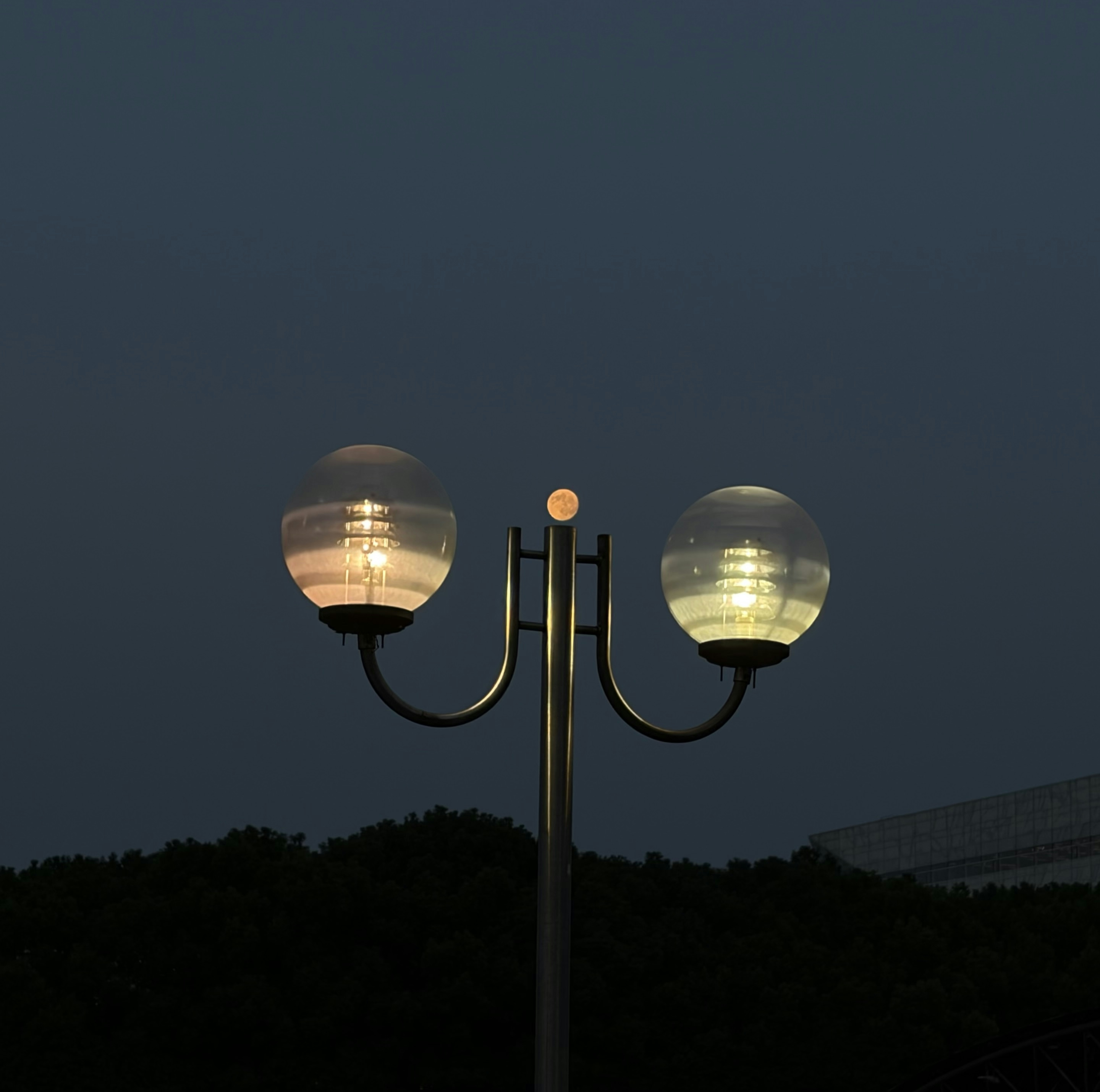 Delicate Double Globe Street Lamp