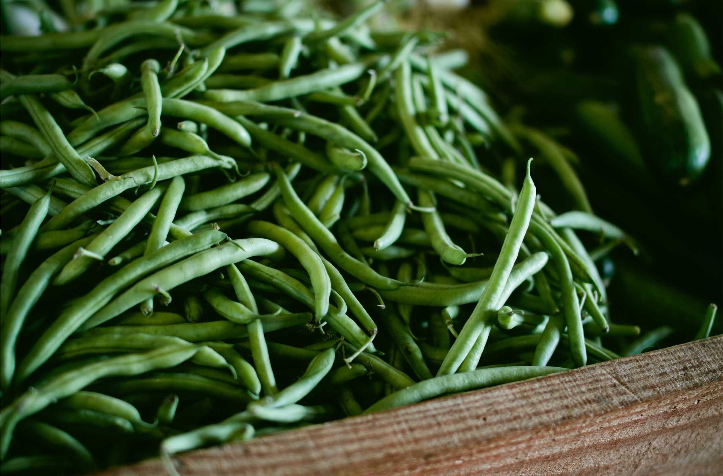 crisp fresh meadow