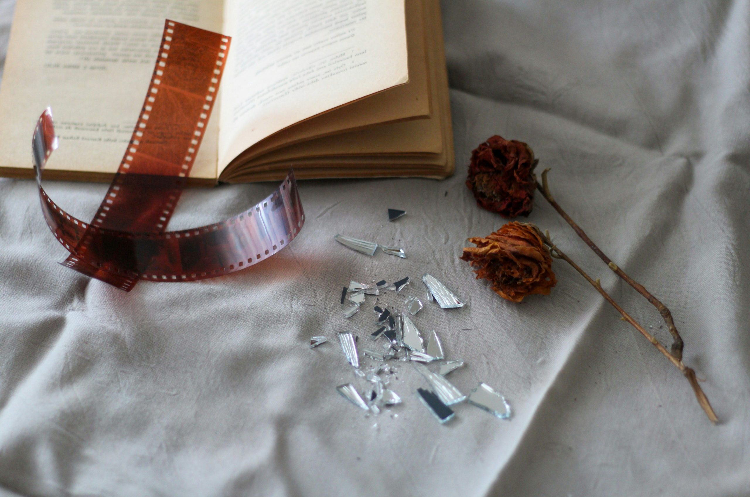 Frosty Open Book, Two Dried