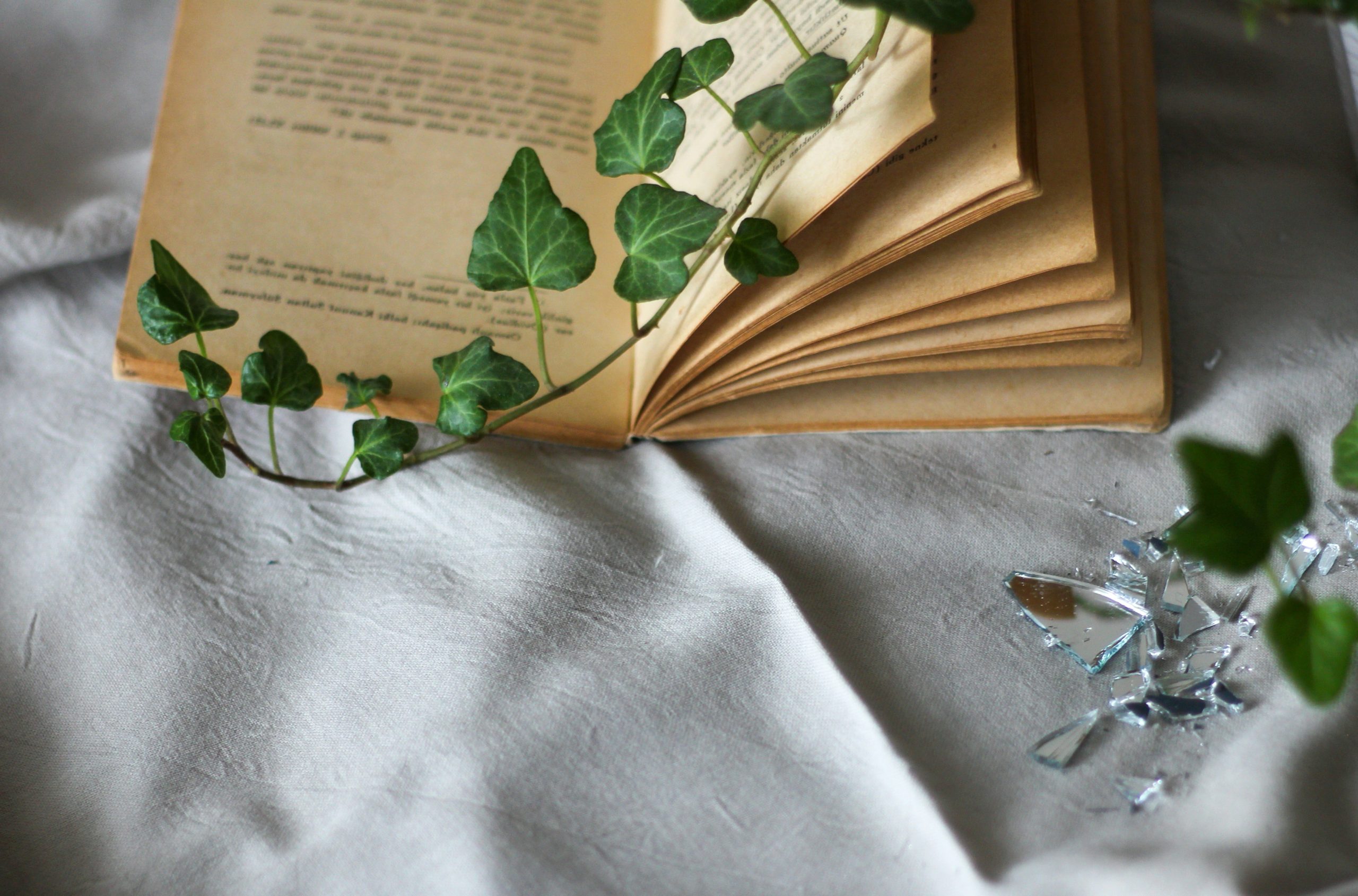 Serene Open Vintage Book