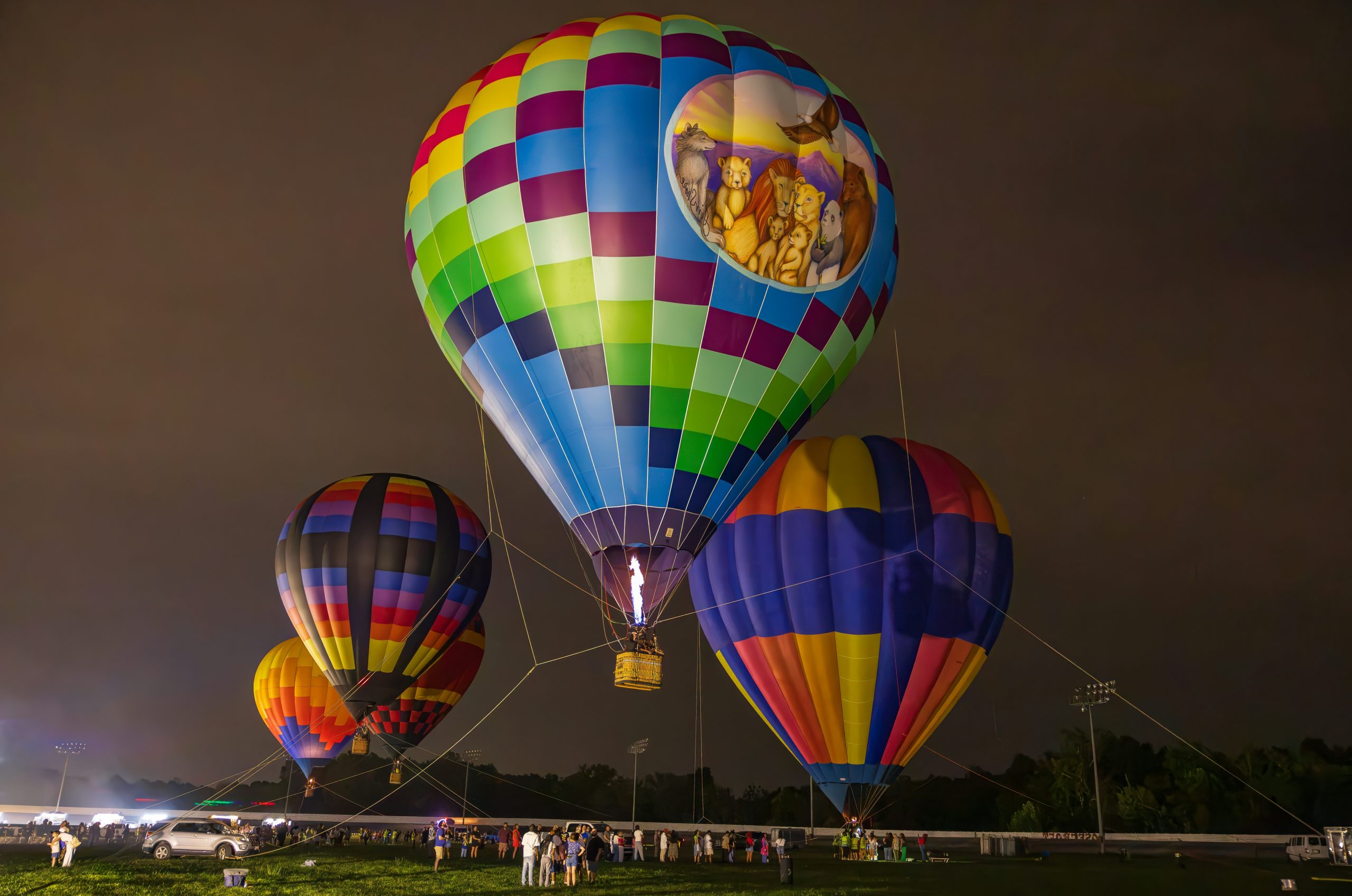 Vivid Colorful Hot Air Balloons