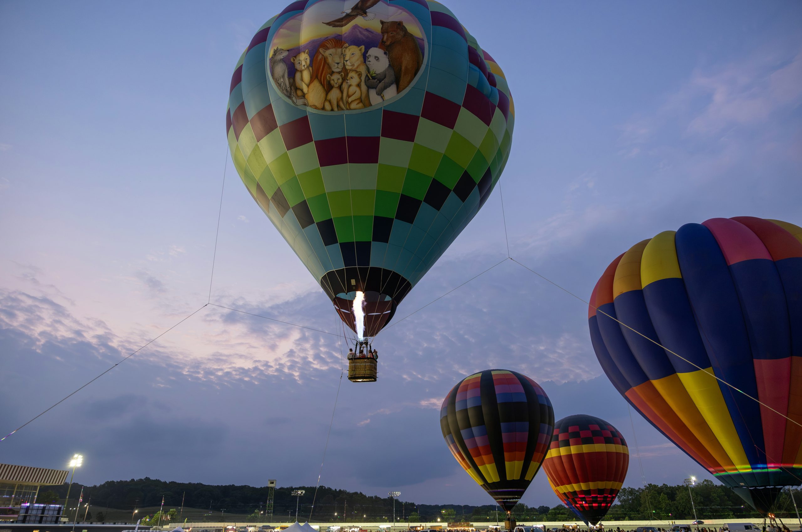 Sapphire Colorful Hot Air Balloons