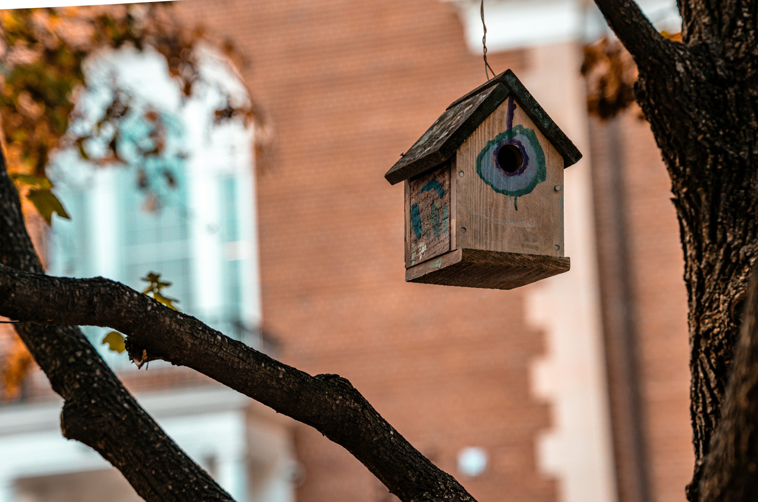 Untamed Wooden Birdhouse