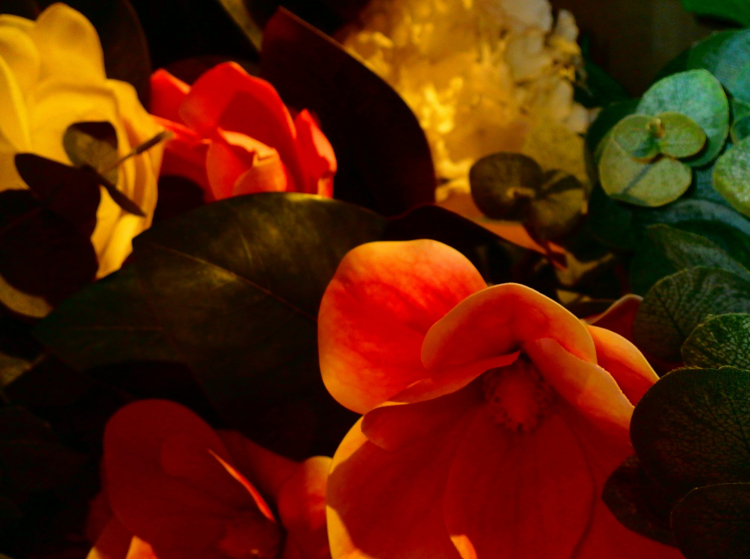 Serene Orange And Yellow