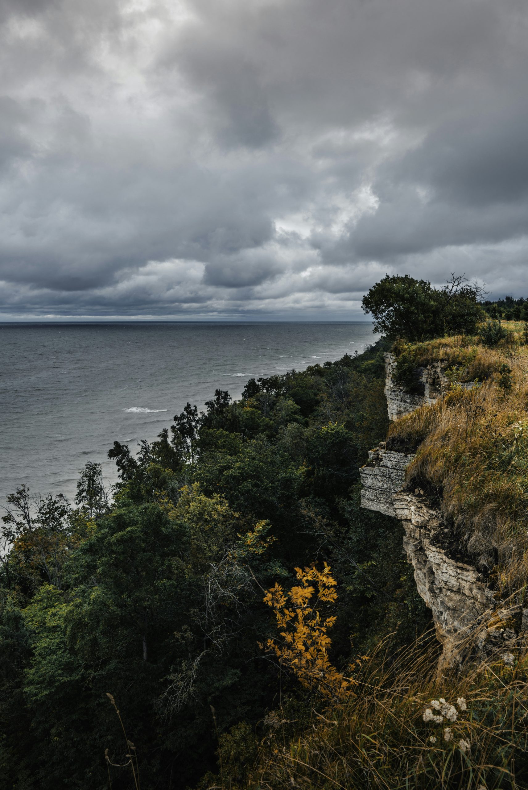 Majestic Limestone Cliff Covered