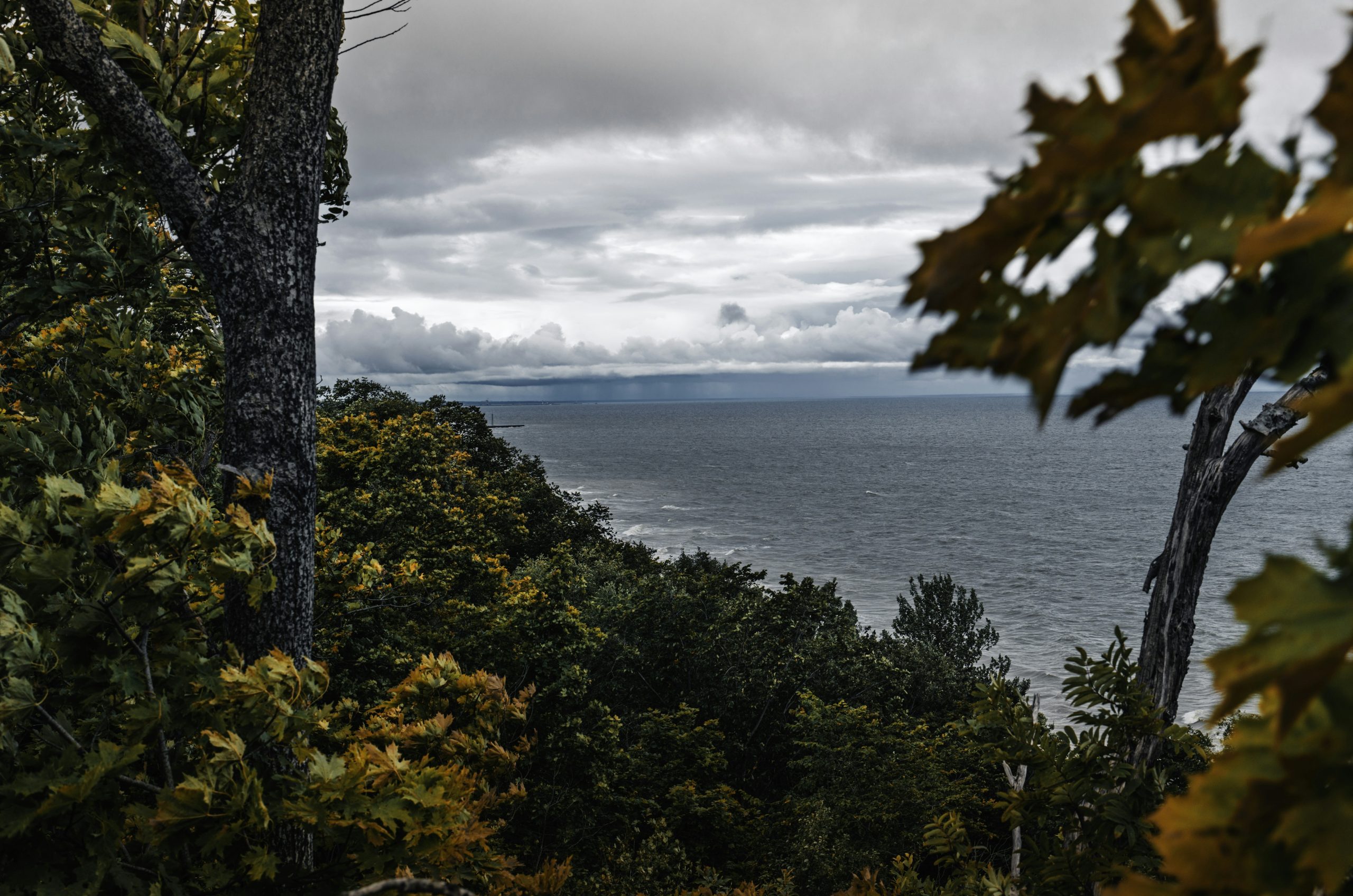 Silken Autumn Trees Overlooking A