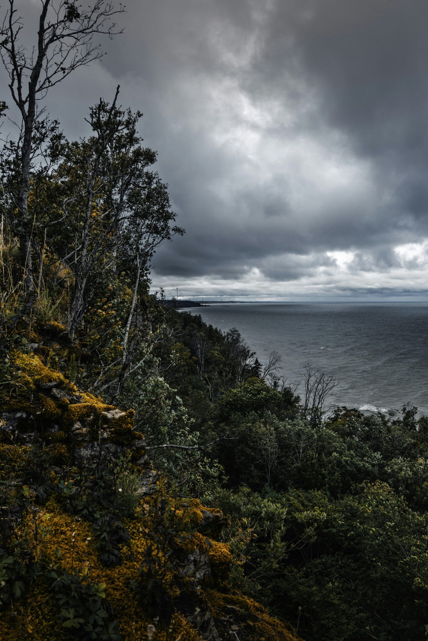 Coppery Rocky Cliff