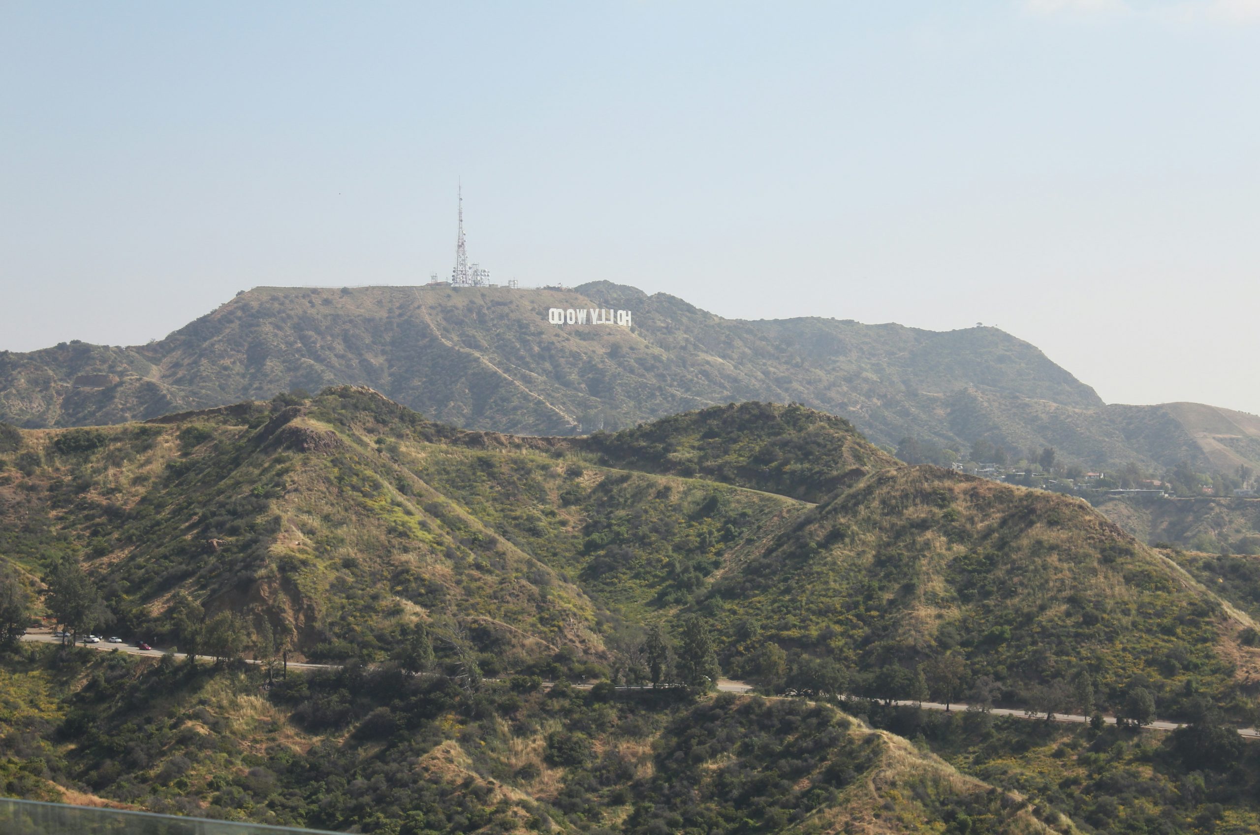Amber Hollywood Sign