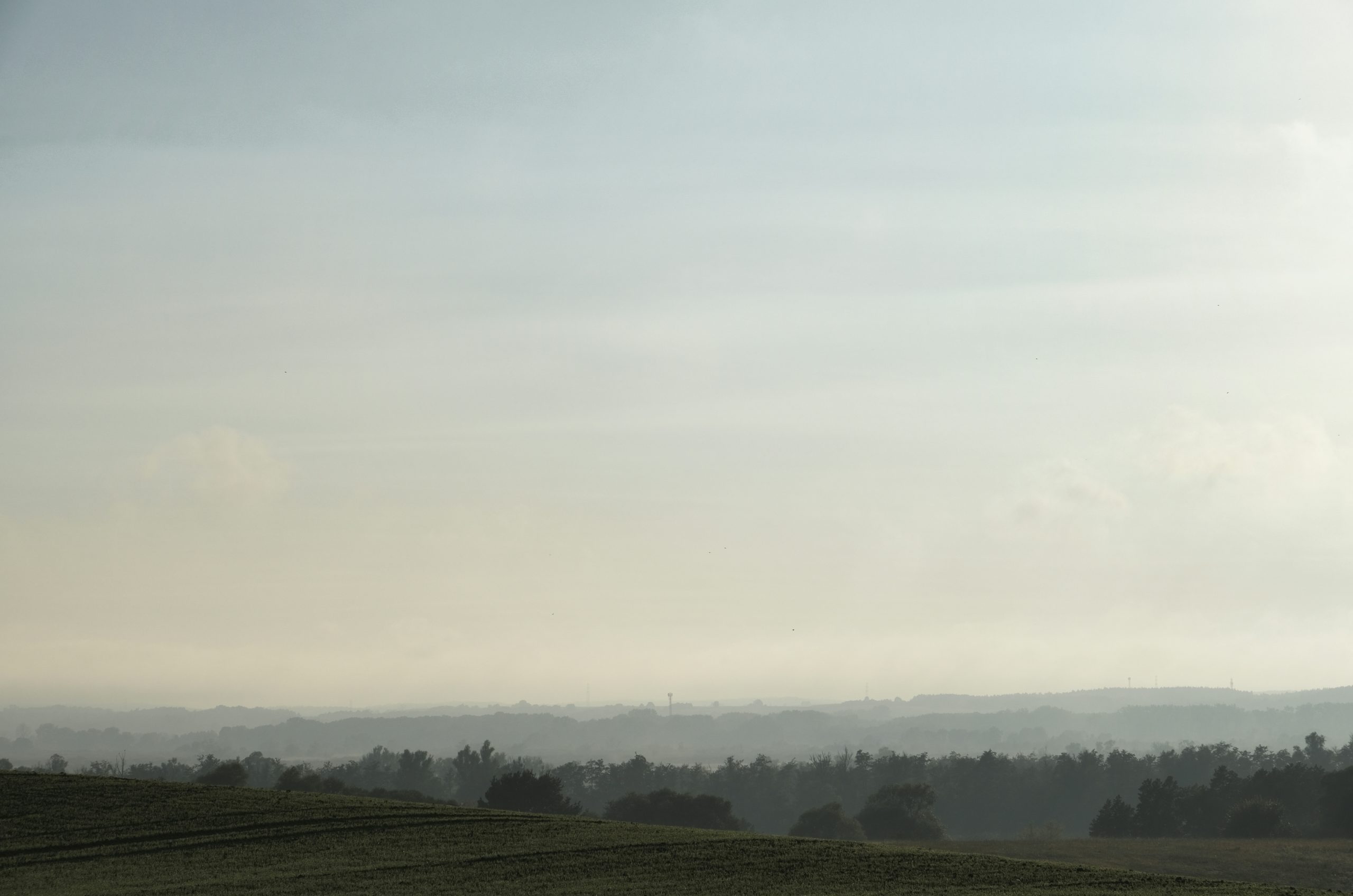 Amber Misty Landscape