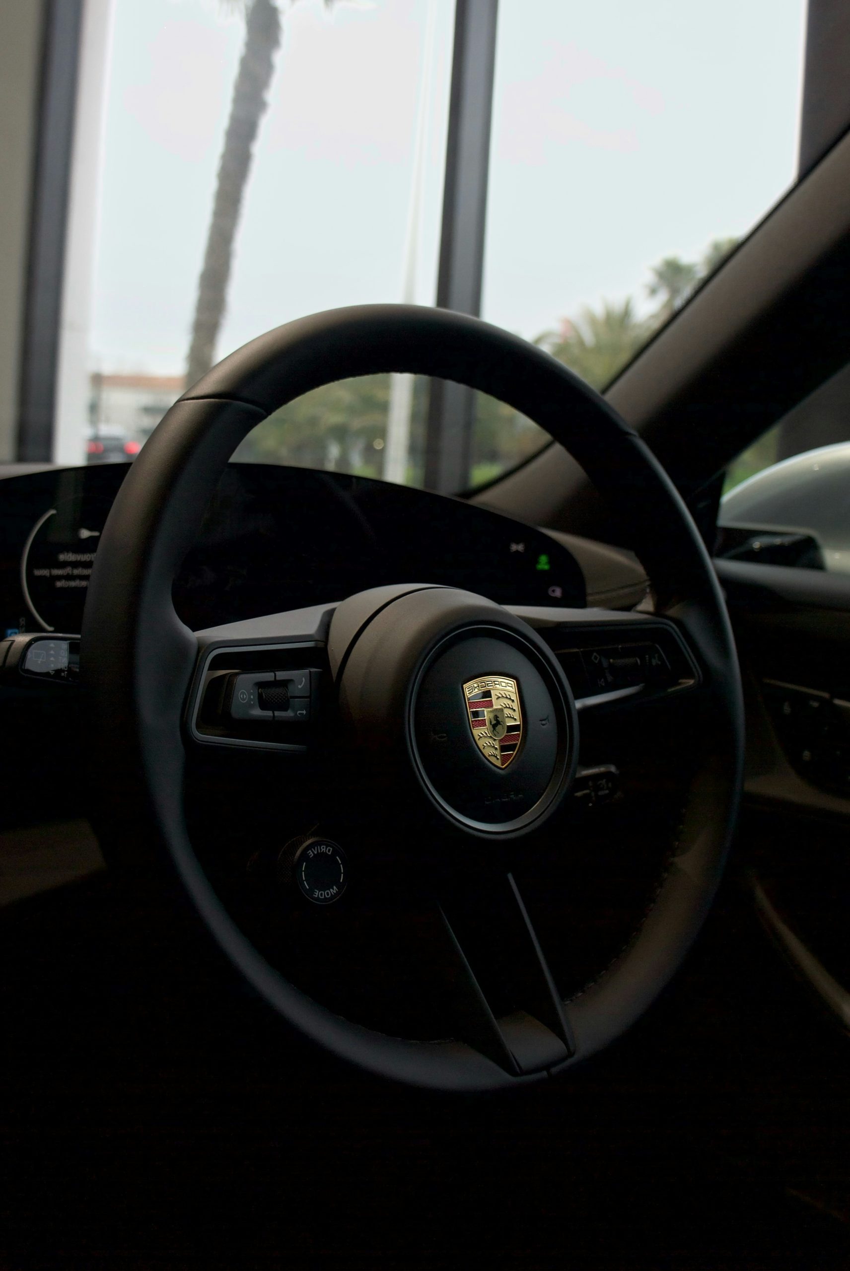 Azure Steering Wheel