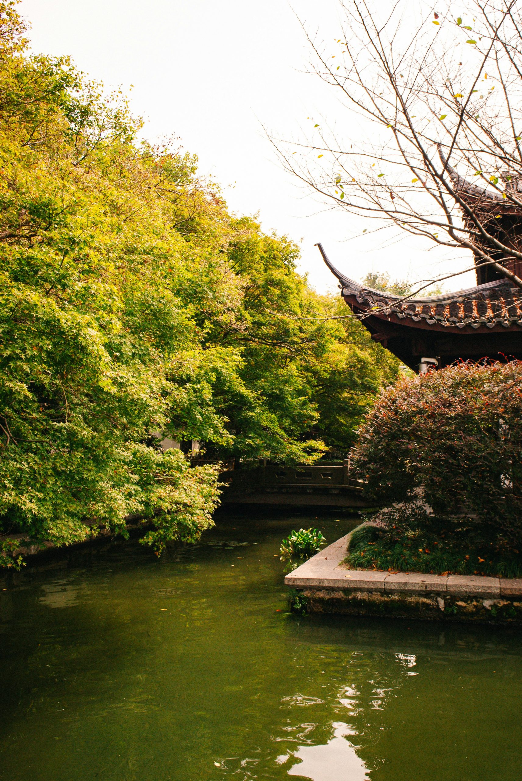 Azure Traditional Curved Roof