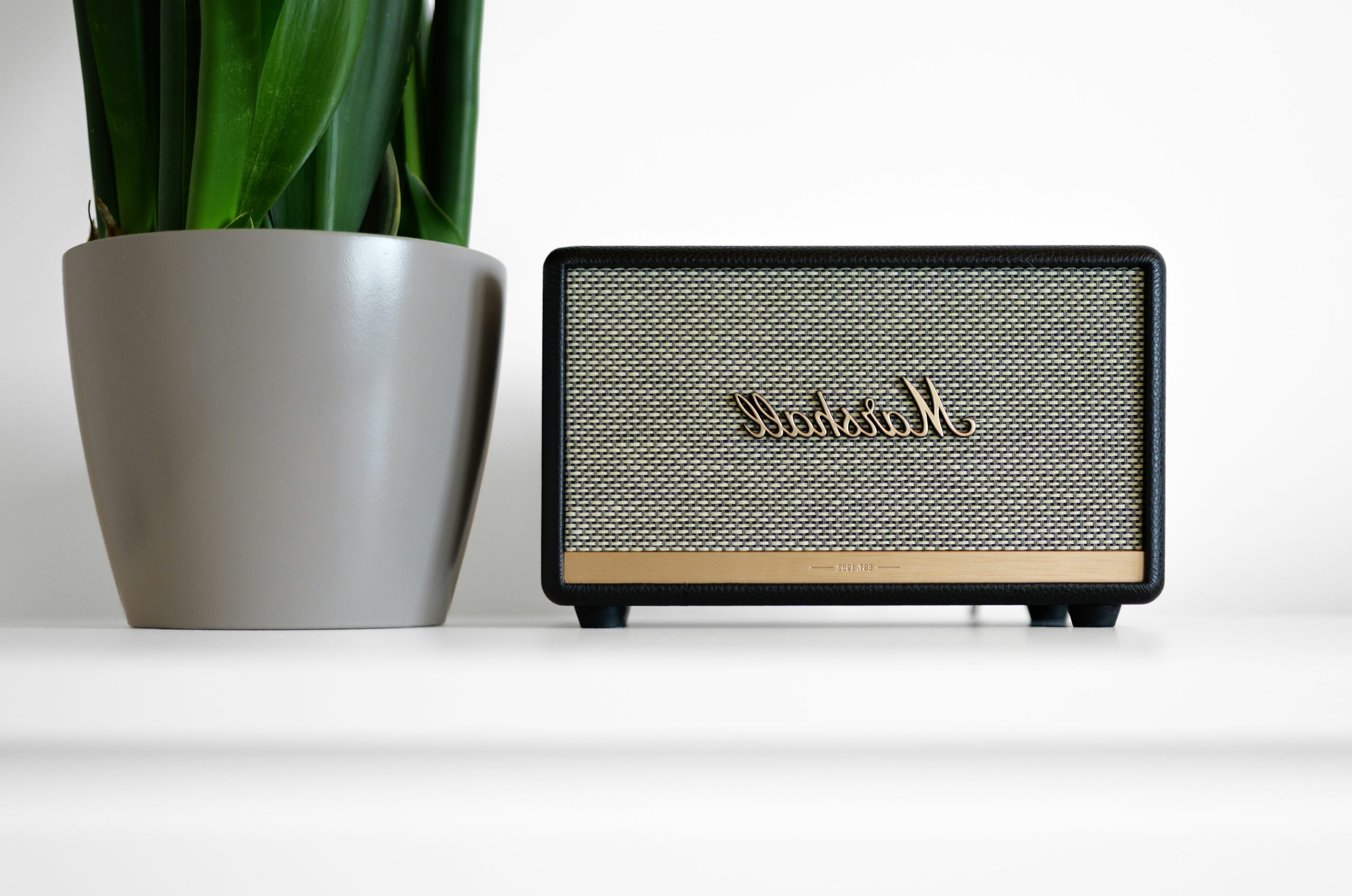 Coastal Marshall Speaker