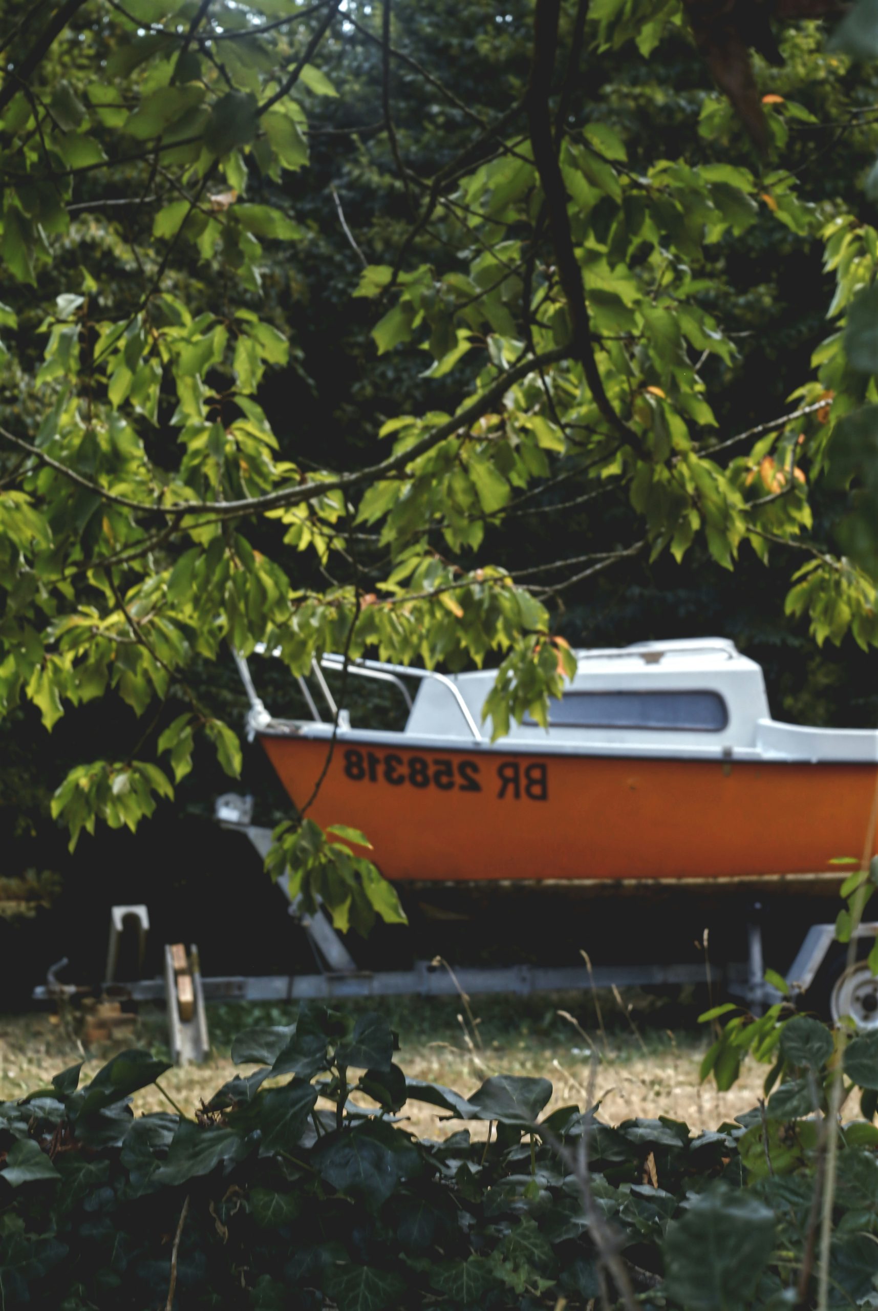 Coppery Orange Boat