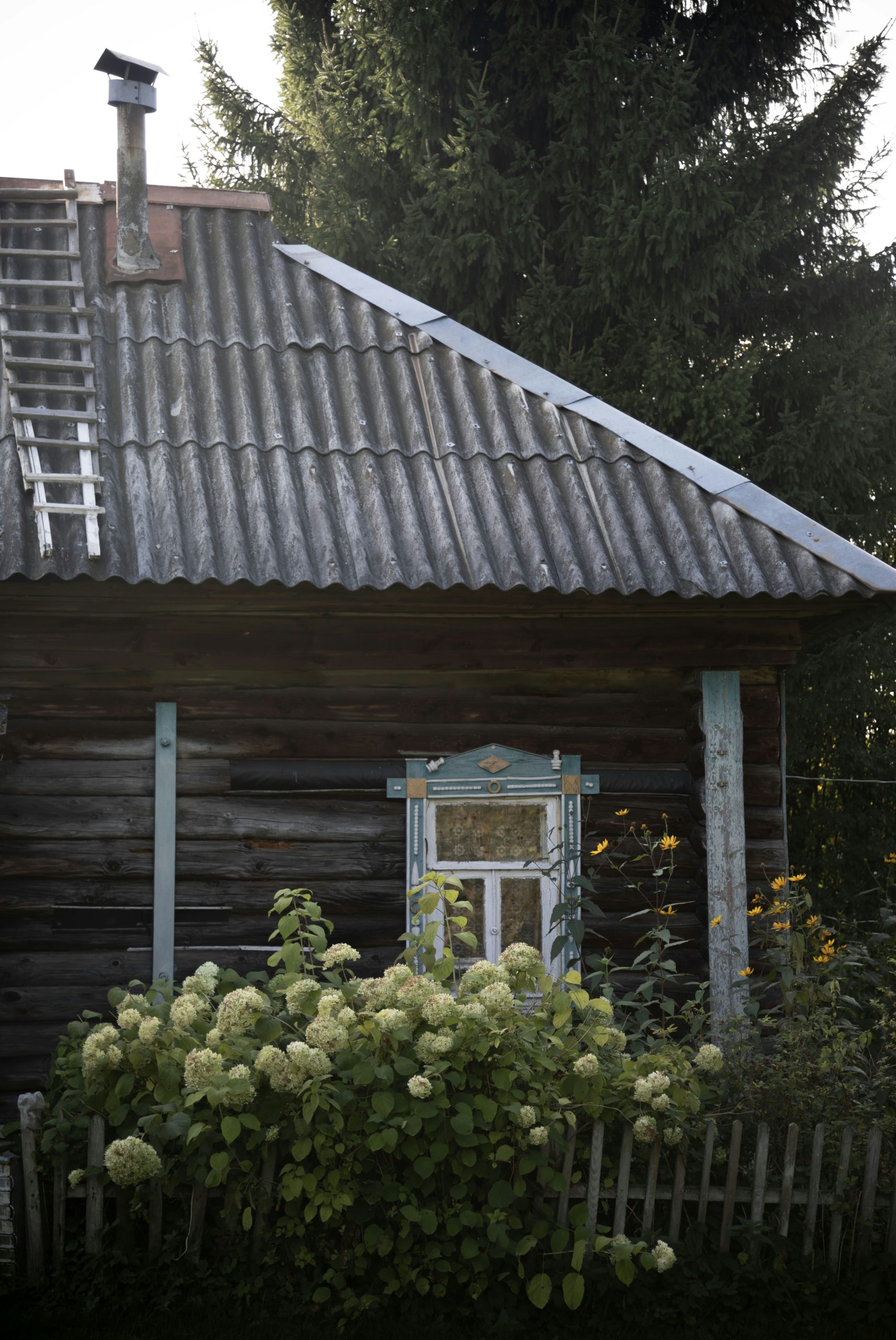 Coppery Rustic Log Cabin