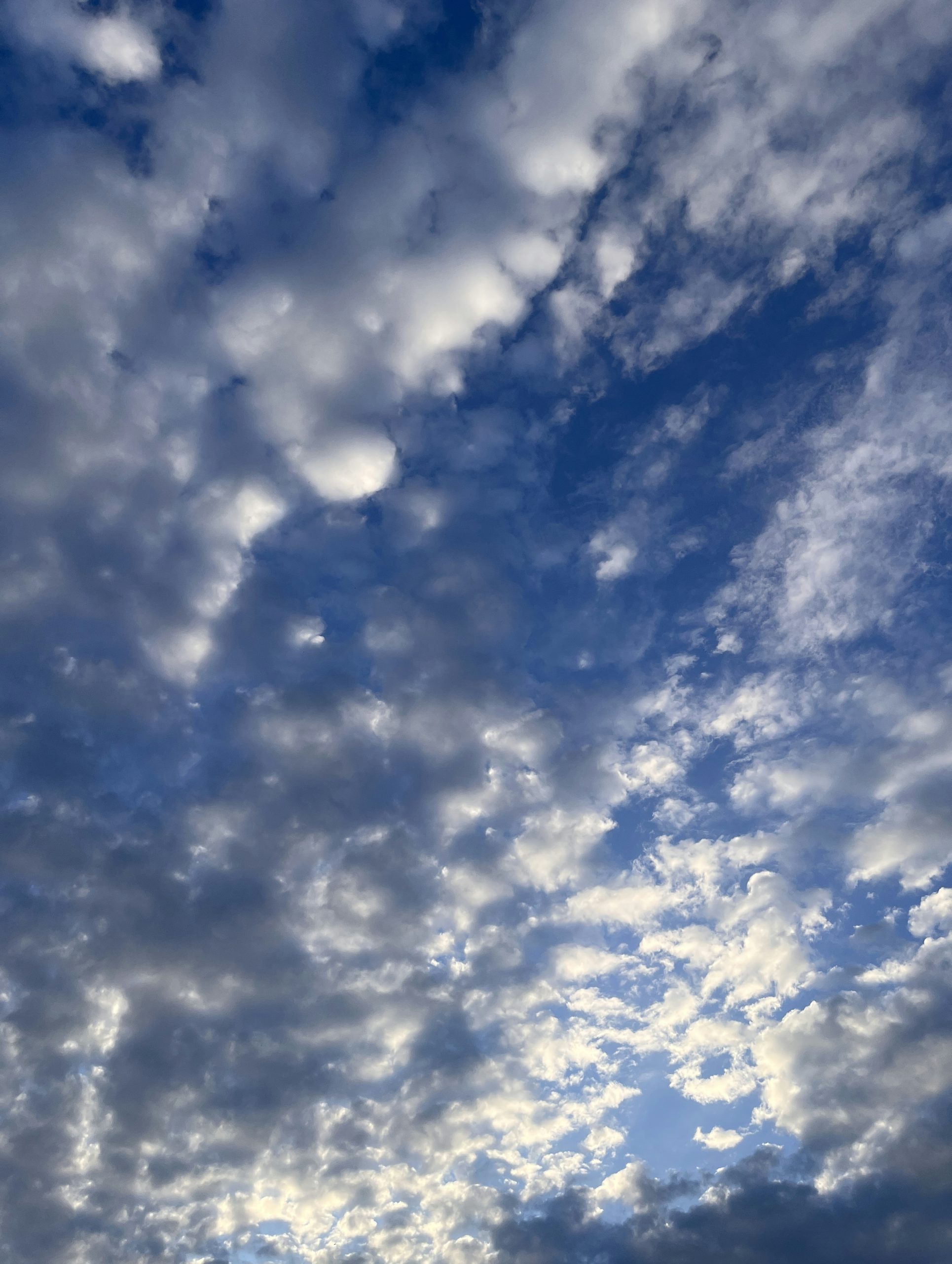 Coppery White Clouds Scattered Across