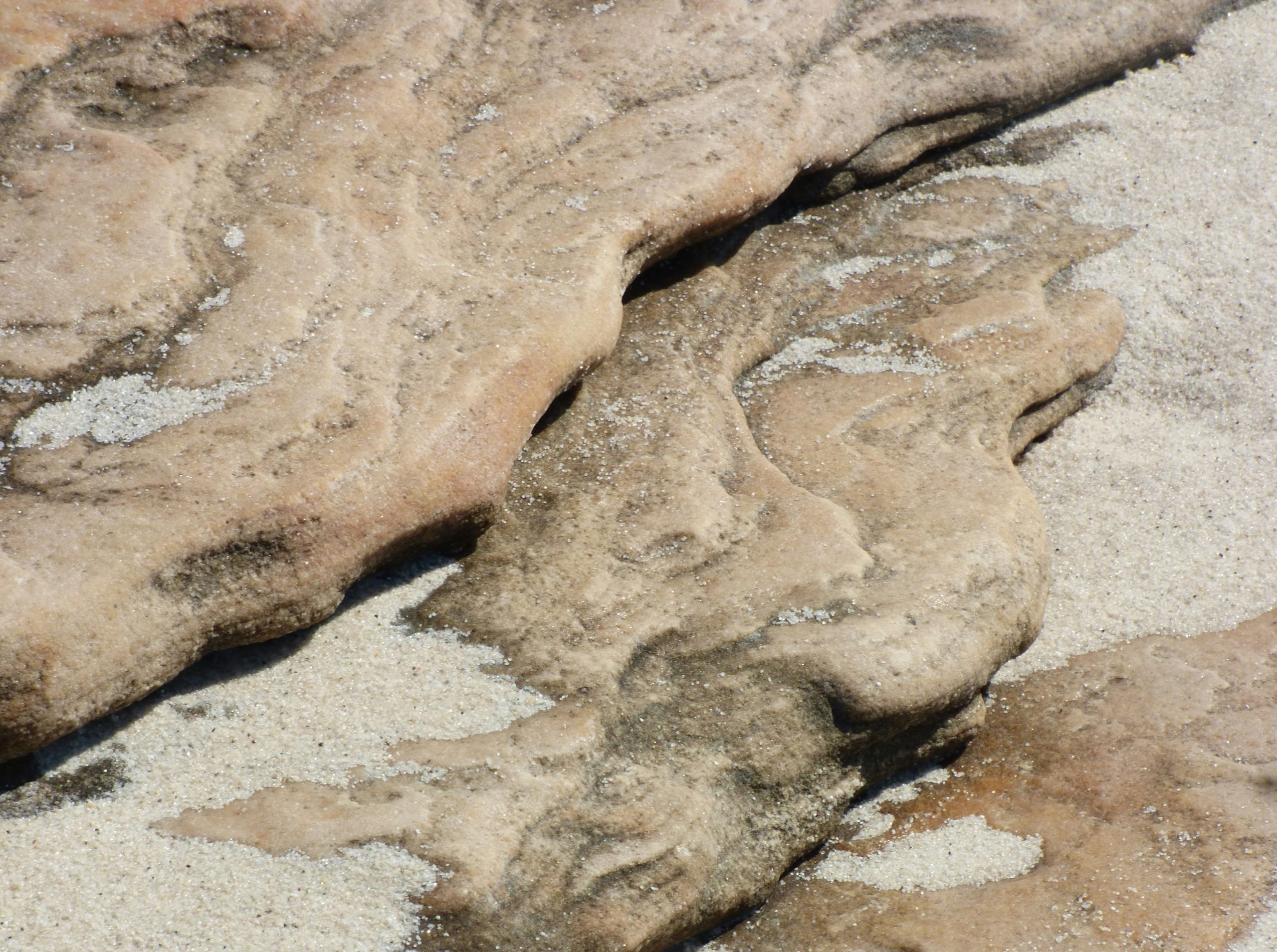 Crimson Layered Tan Sandstone Rock