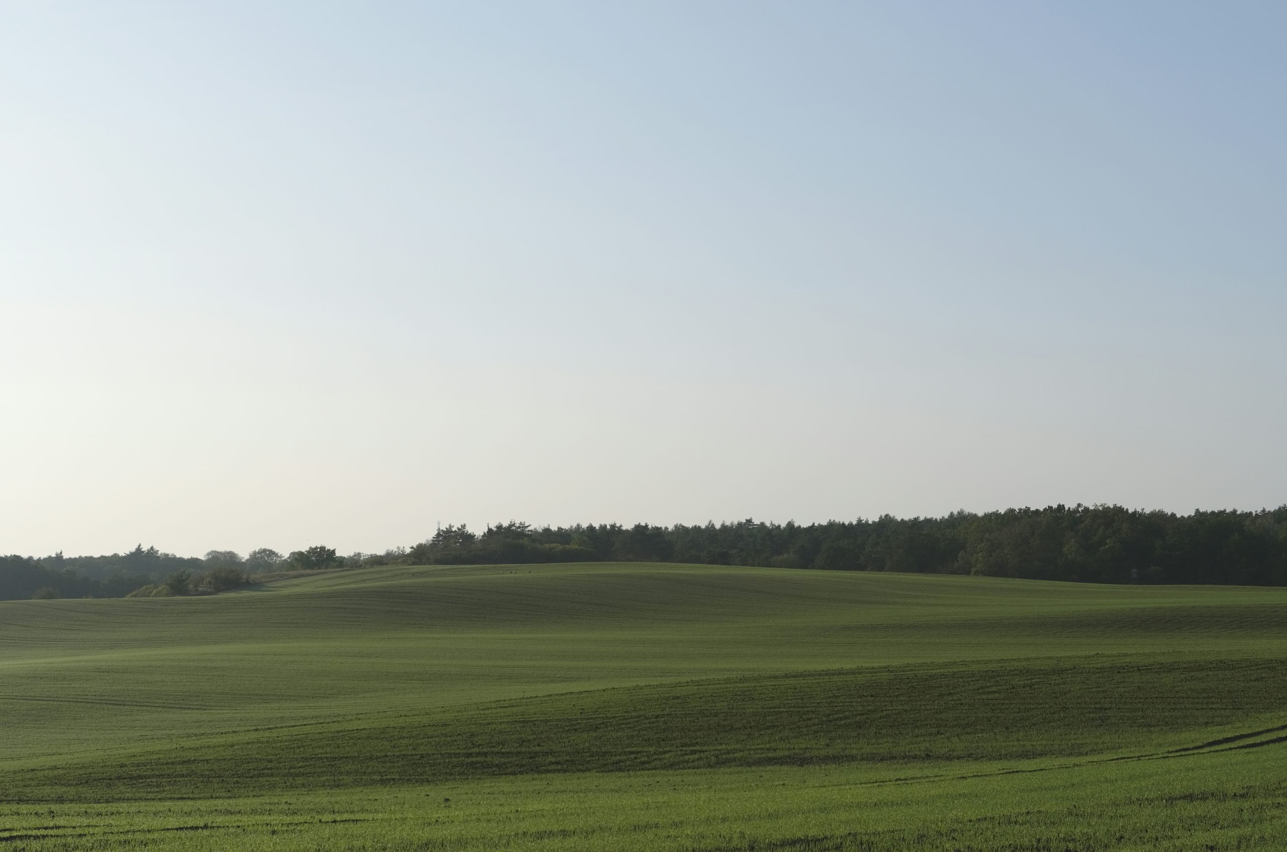 Crimson Rolling Green Hills