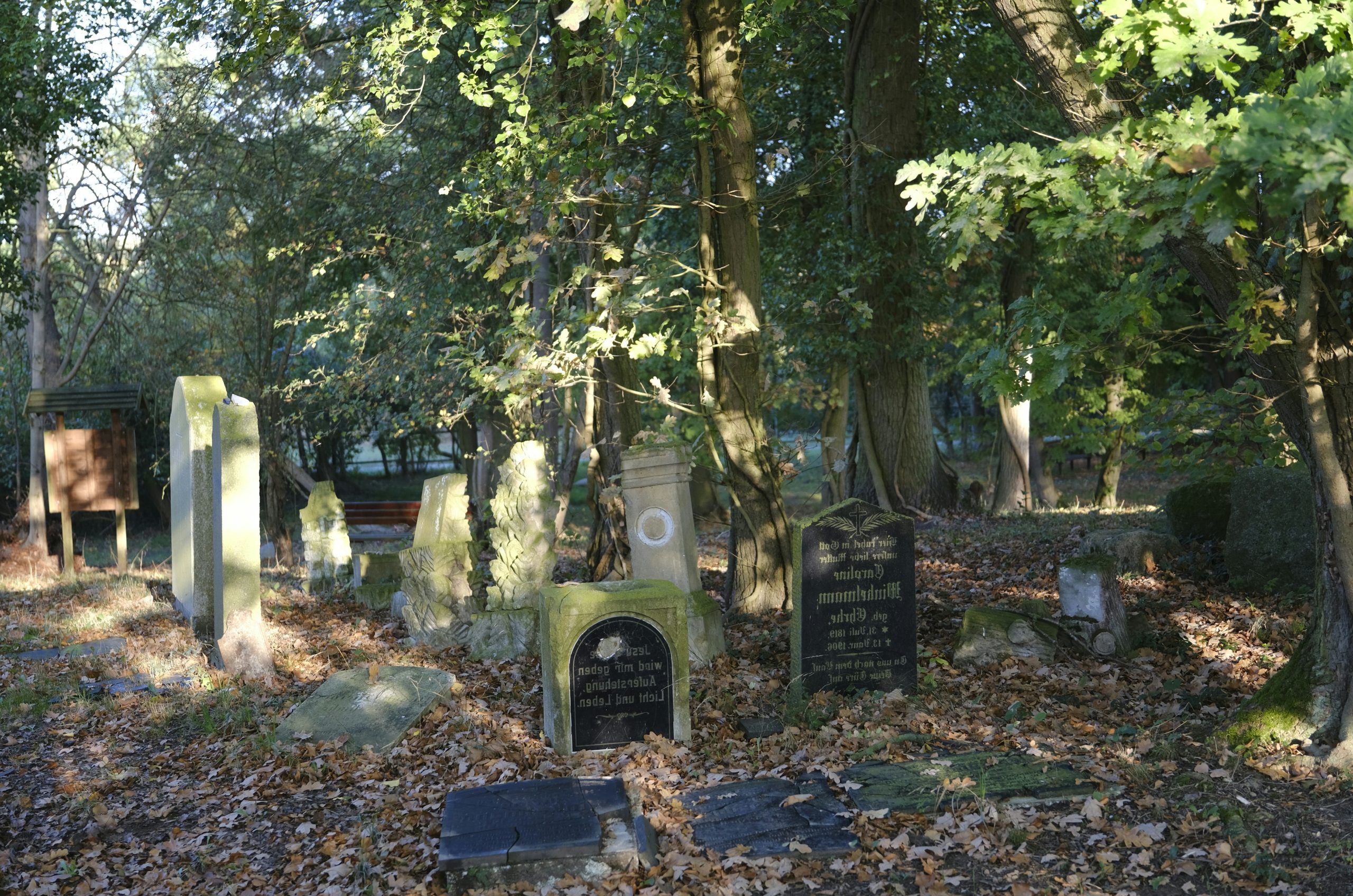 Delicate Old Stone Gravestones Among