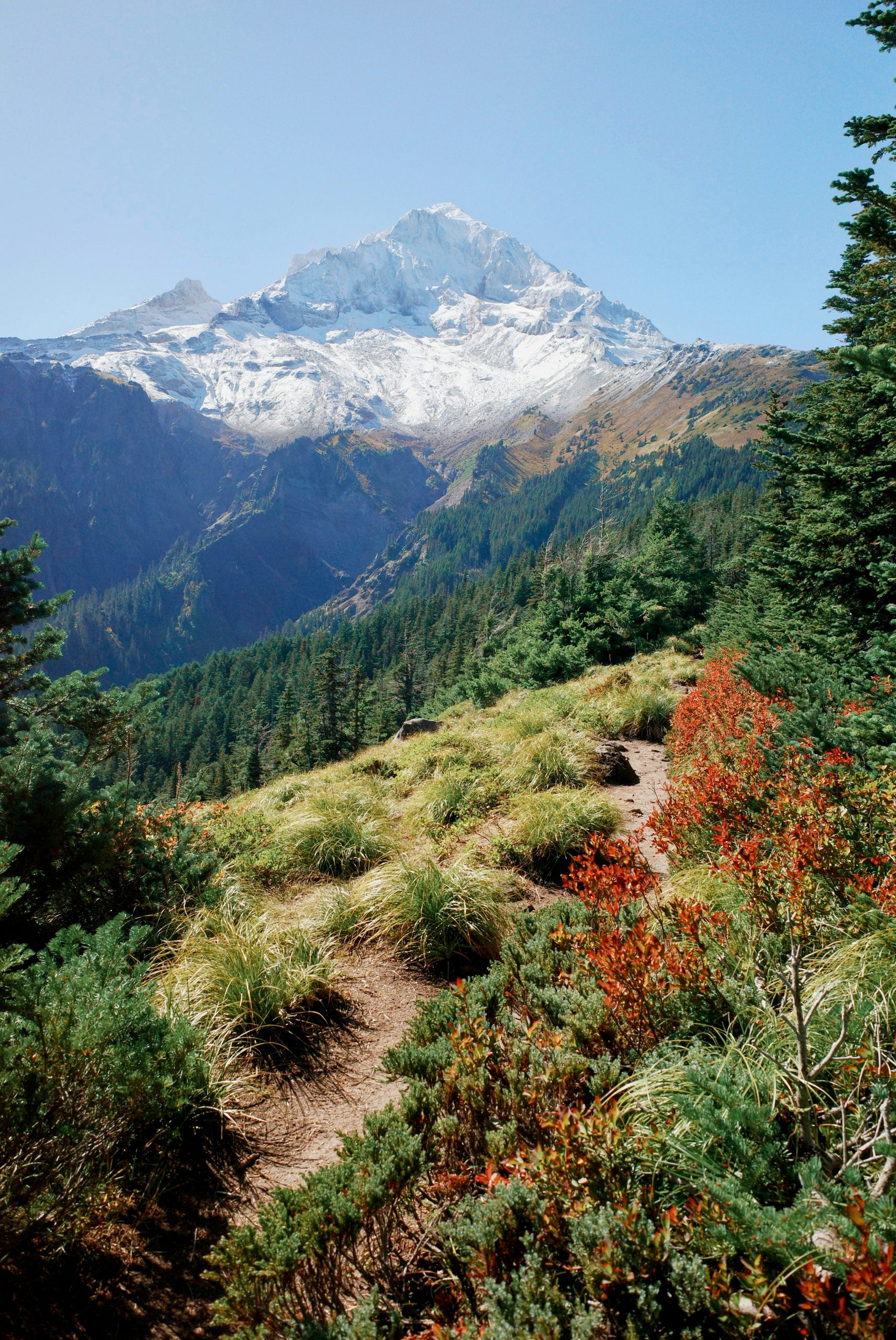 Dreamy Dirt Hiking Trail Winding