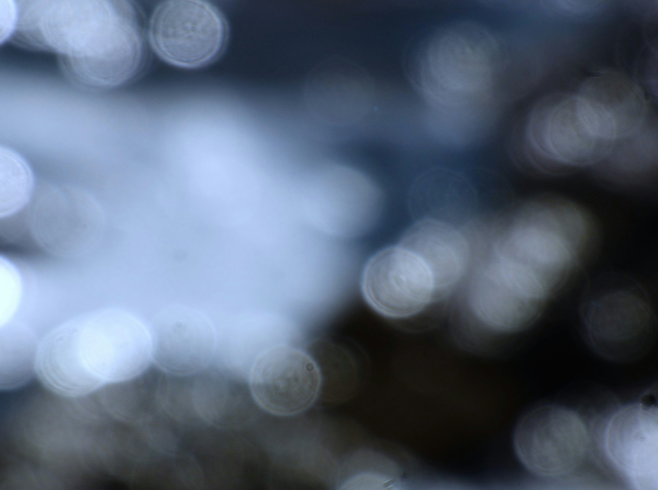 Emerald Abstract Bokeh Circles