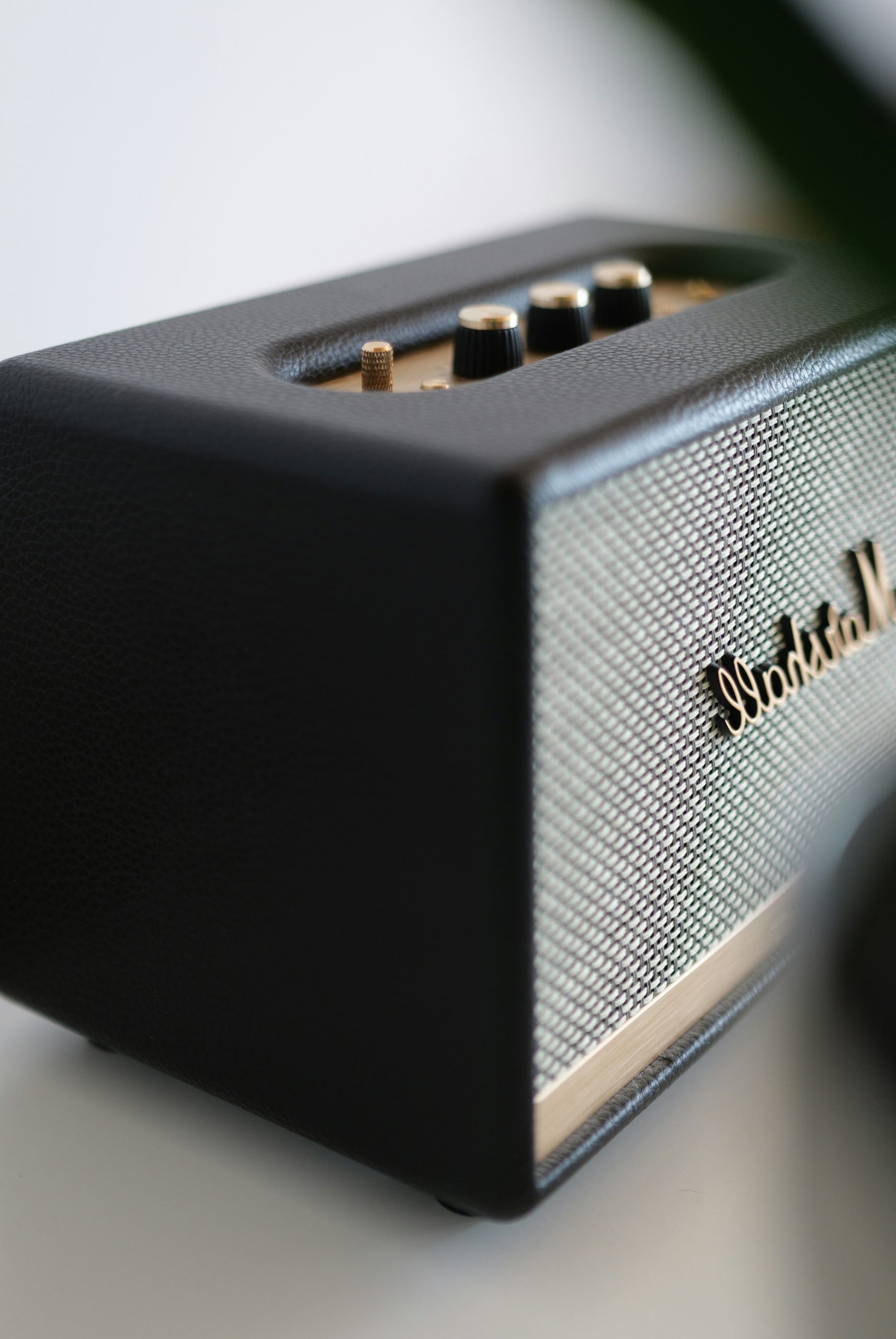 Enchanted Black Marshall Speaker