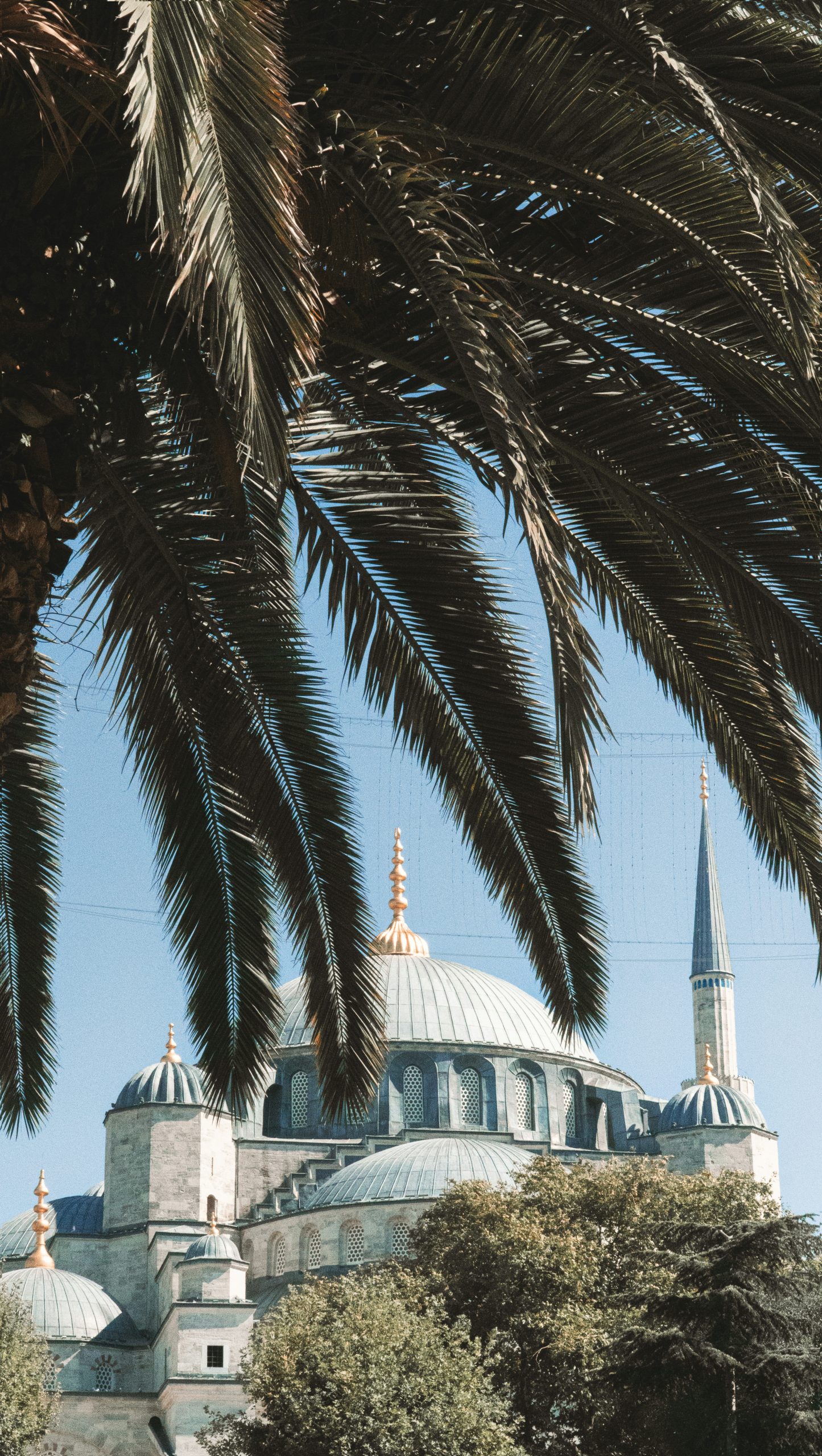 Enchanted Blue Mosque Domes