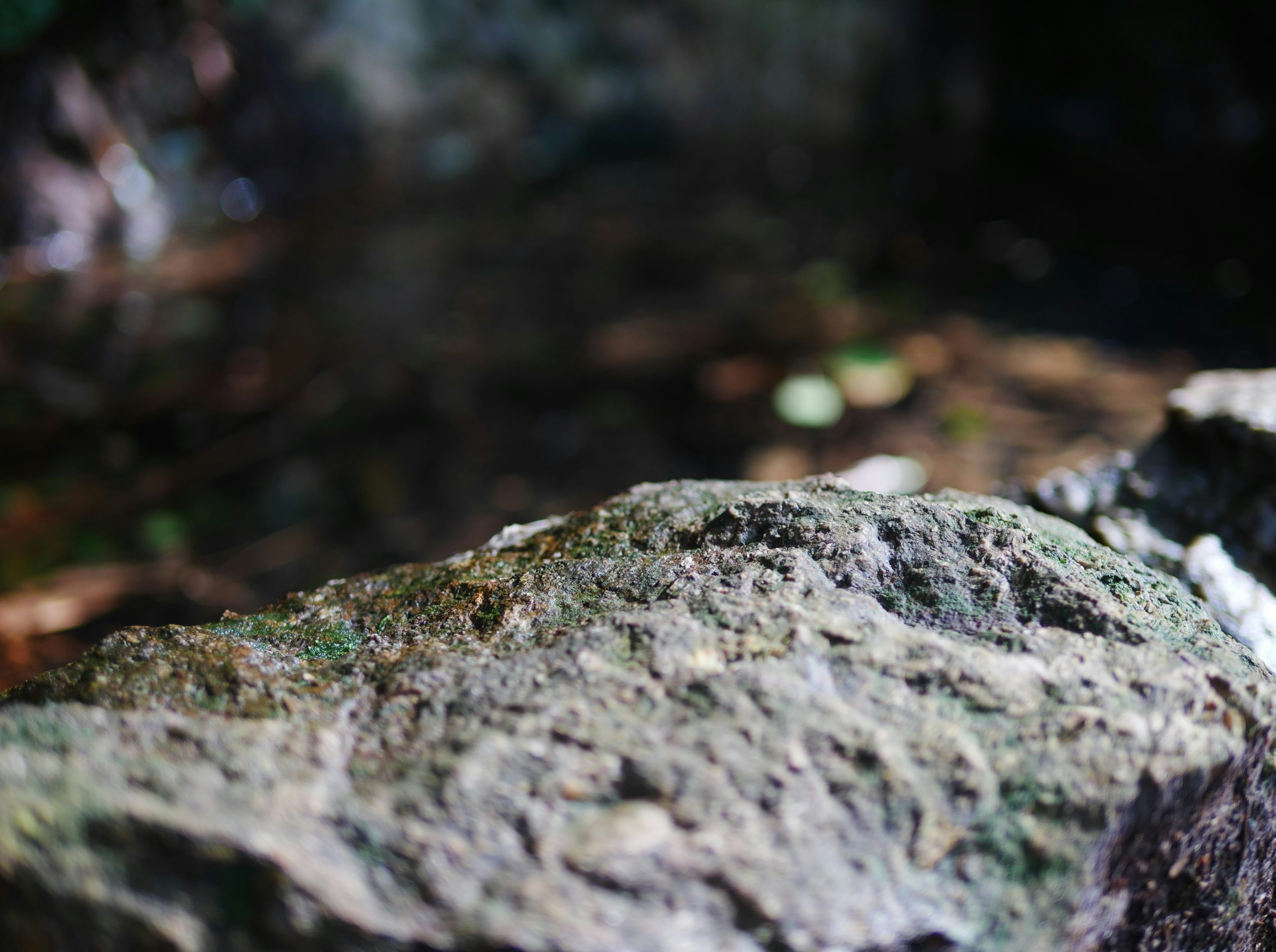 Ethereal Mossy Grey Rock