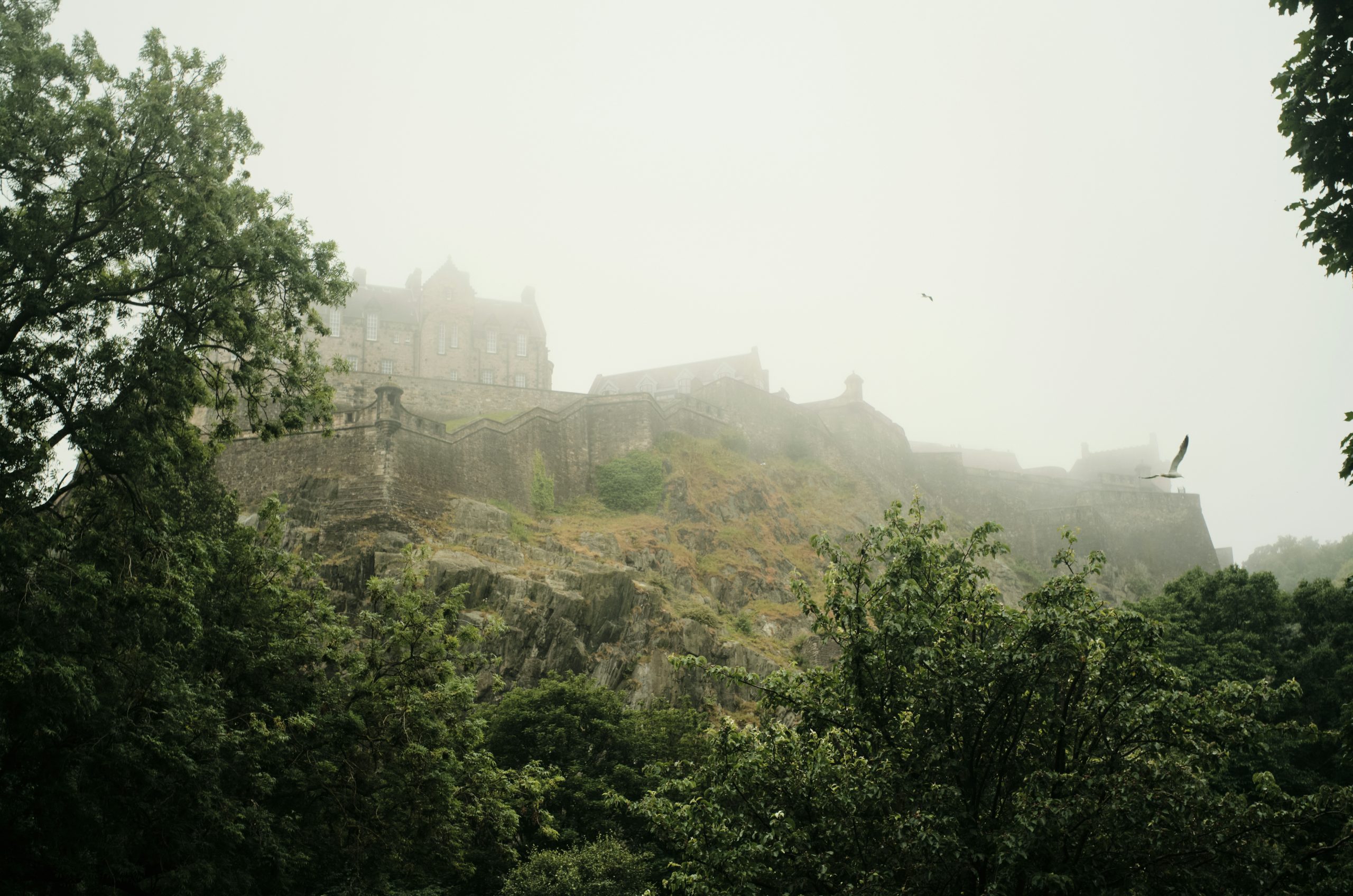 Goldenrod Edinburgh Castle