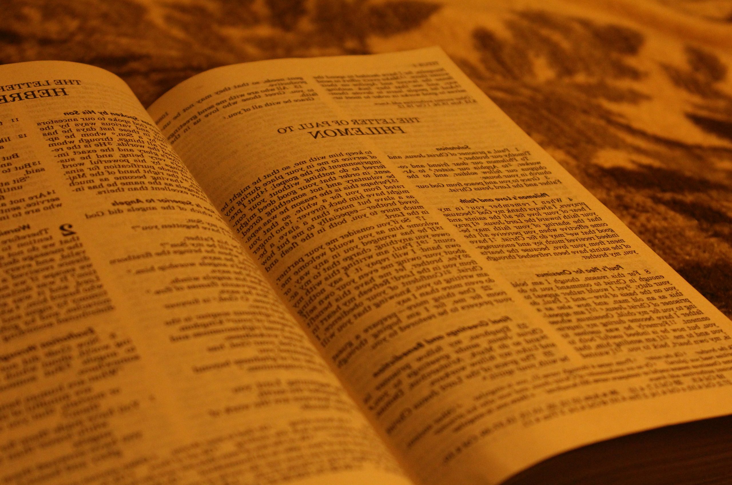 Goldenrod Open Bible Showing The
