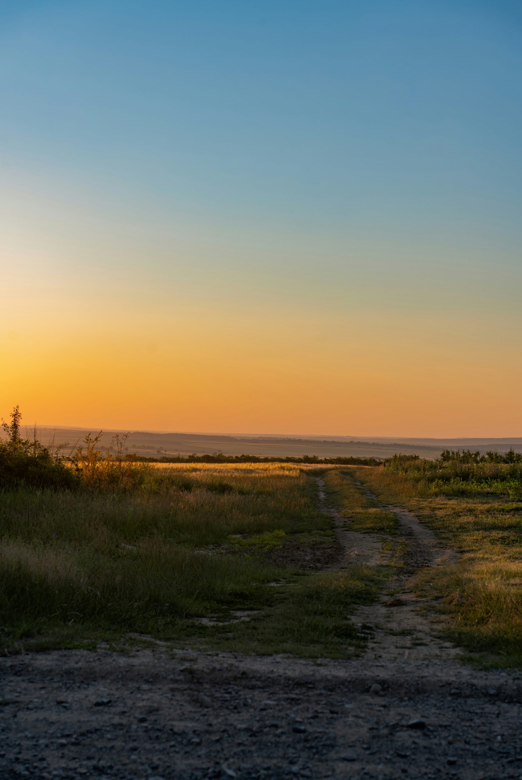 Luminous Dirt Path Through A