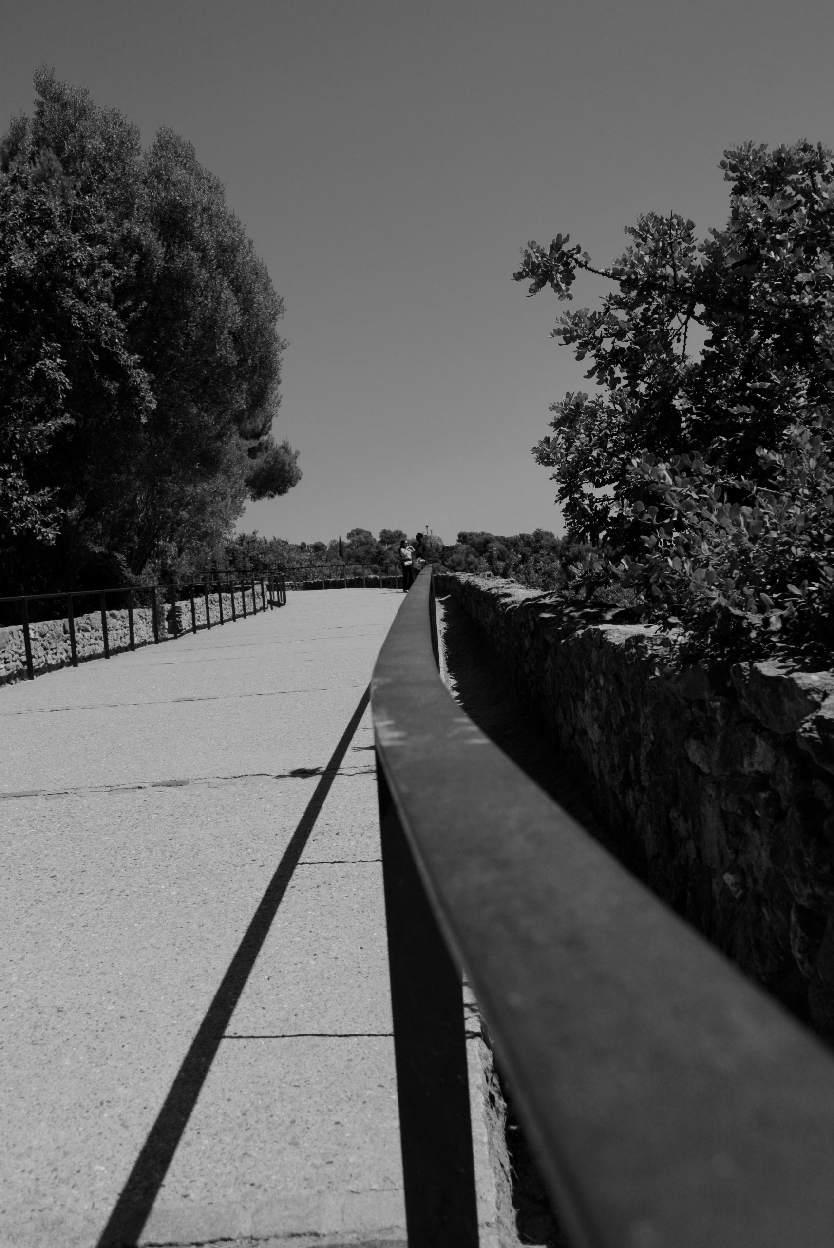 Luminous Paved Path