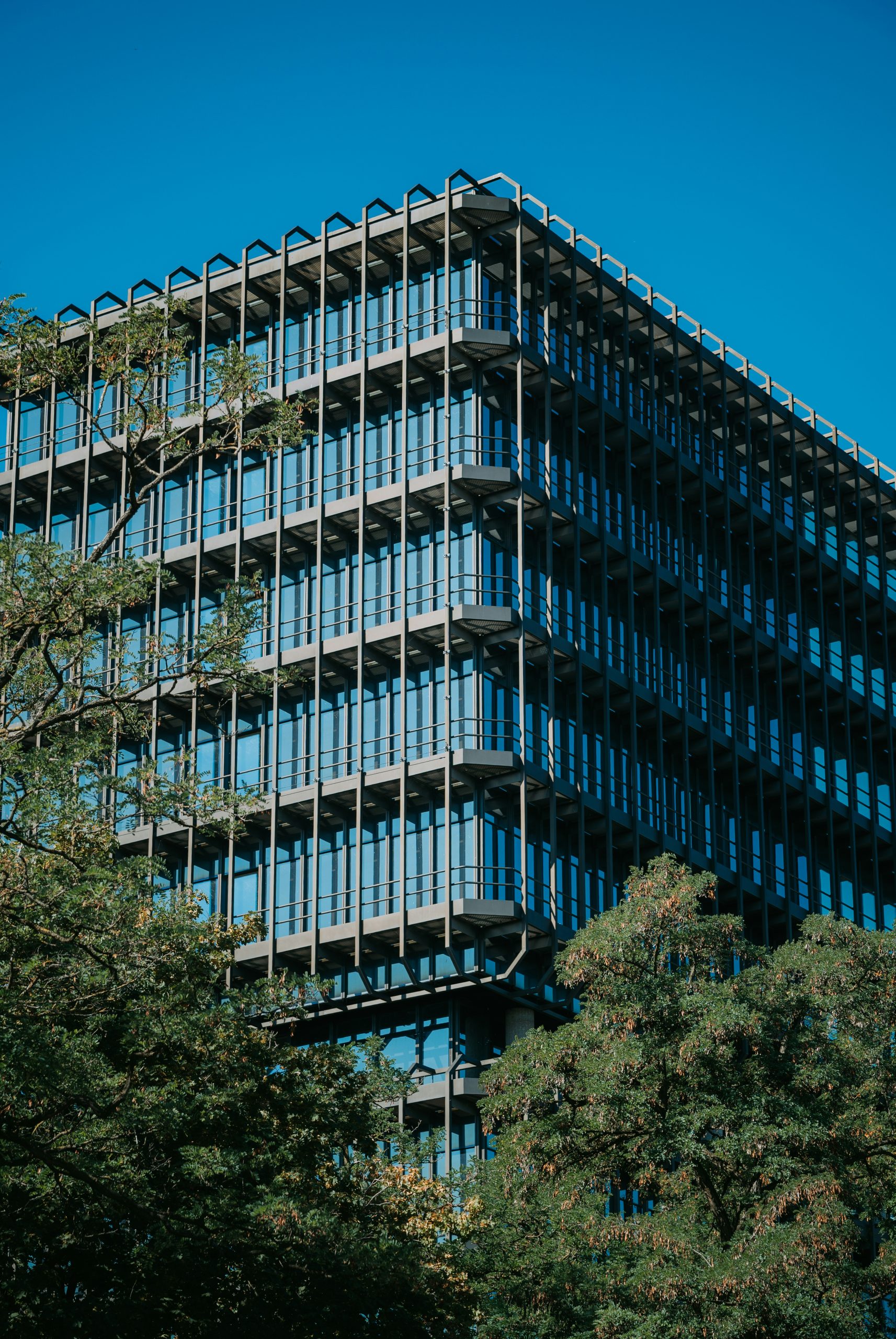 Majestic Modern Office Building