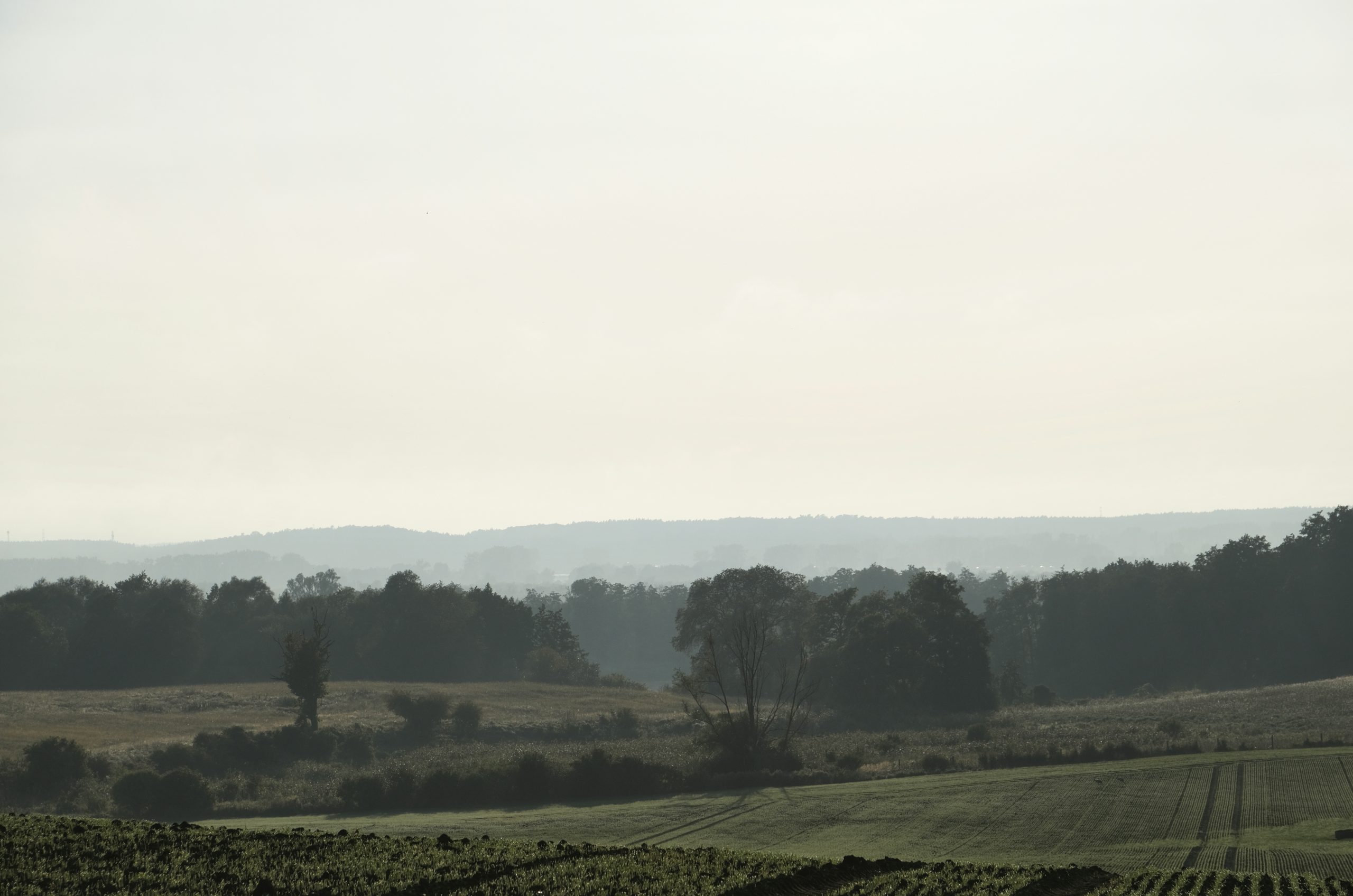 Majestic Rolling Fields
