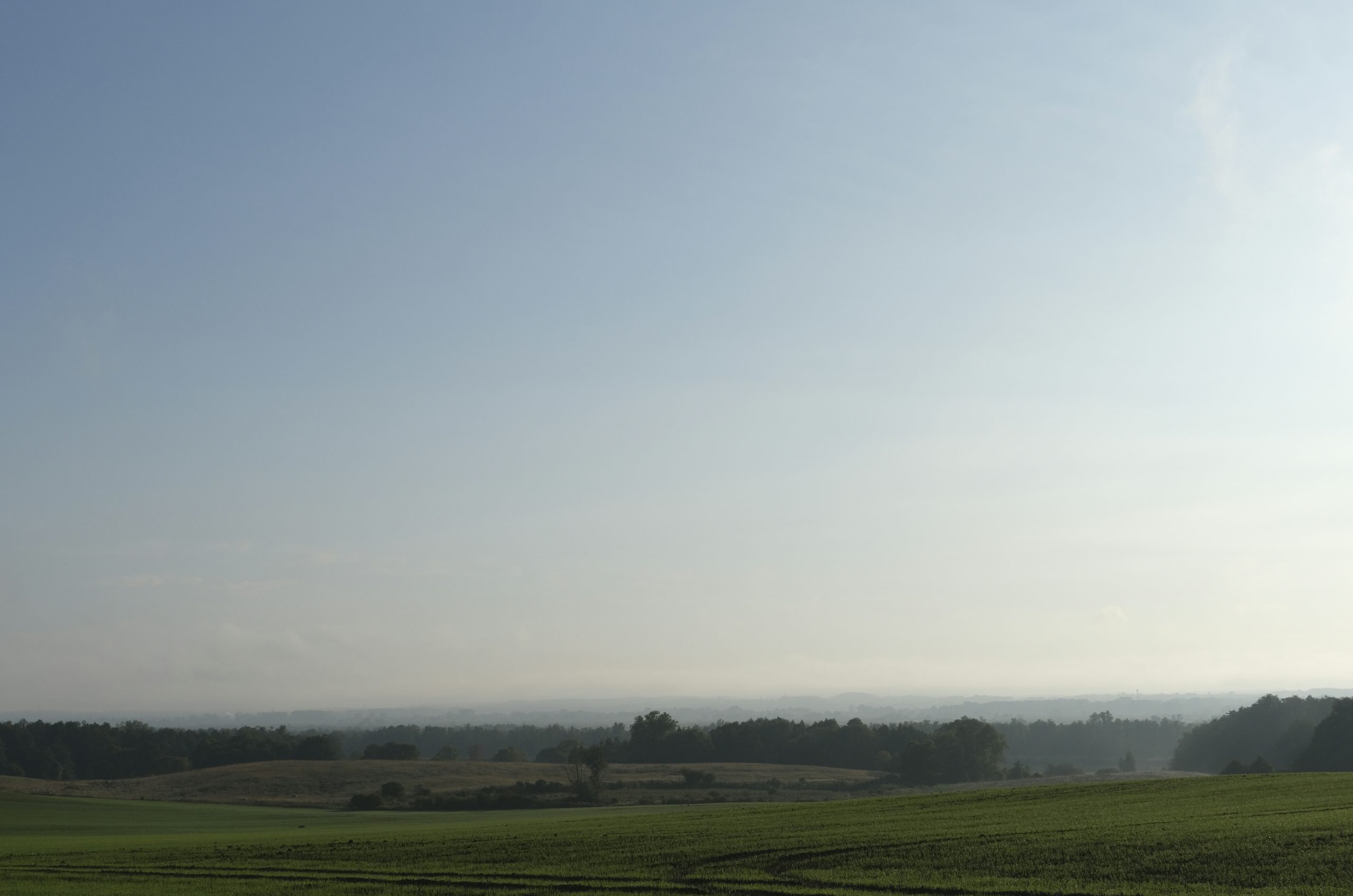 Opaline Green Field