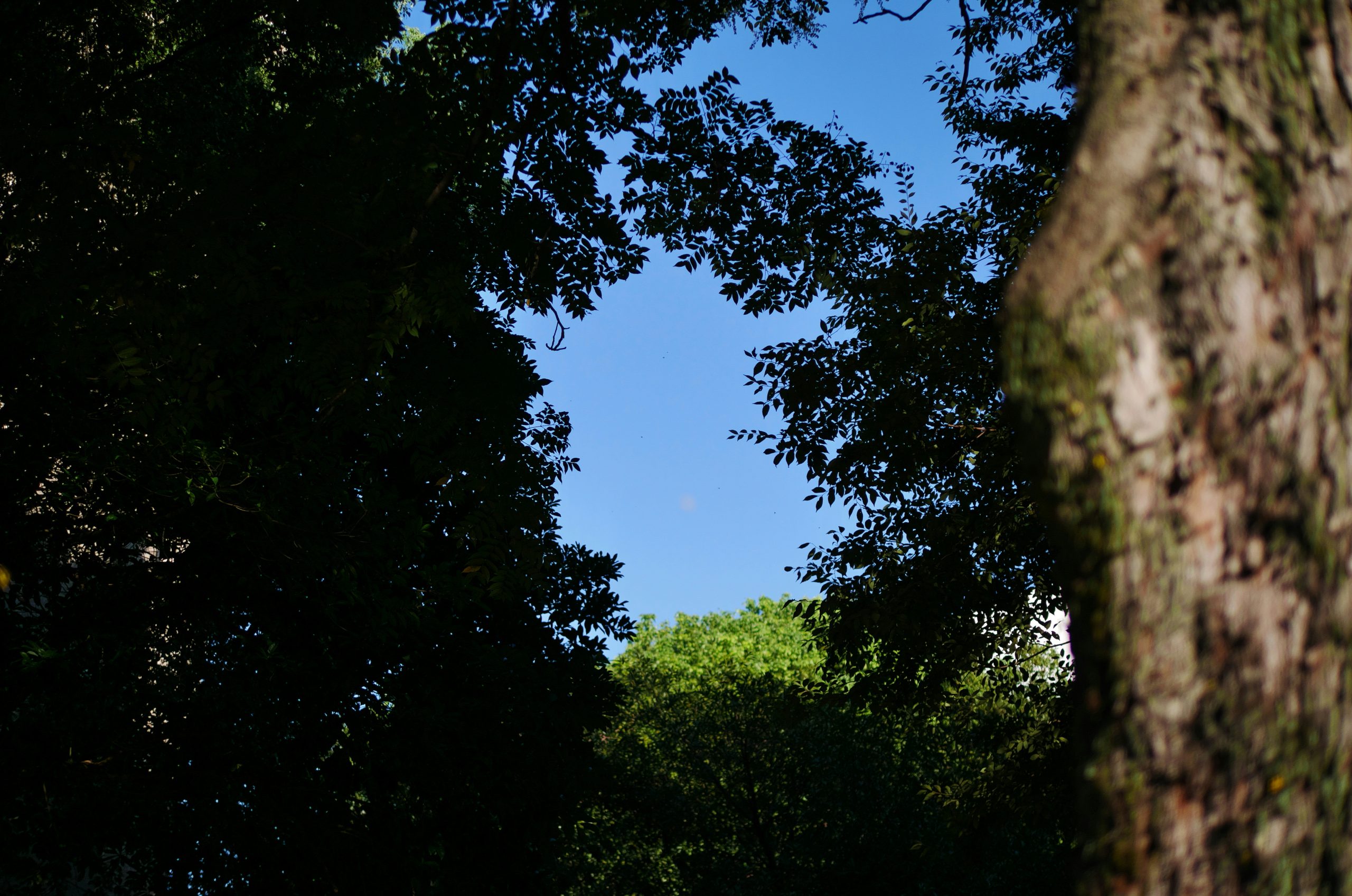 Prismatic Clear Blue Sky Framed