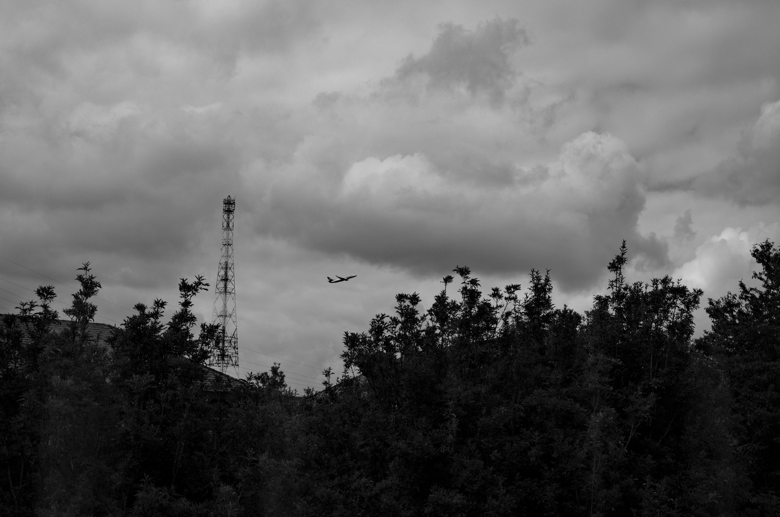 Sable Airplane Flying Past A