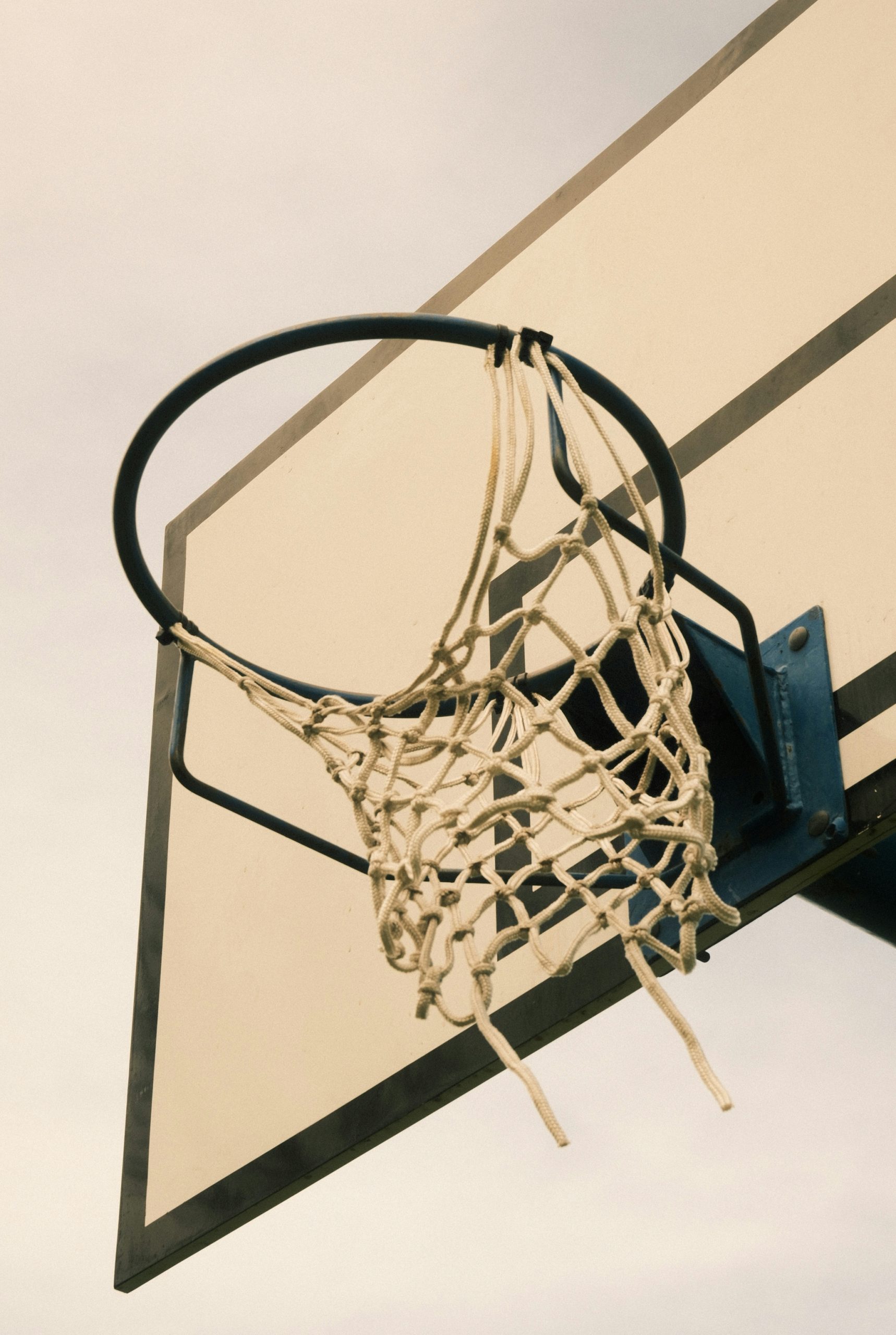 Sapphire Basketball Hoop