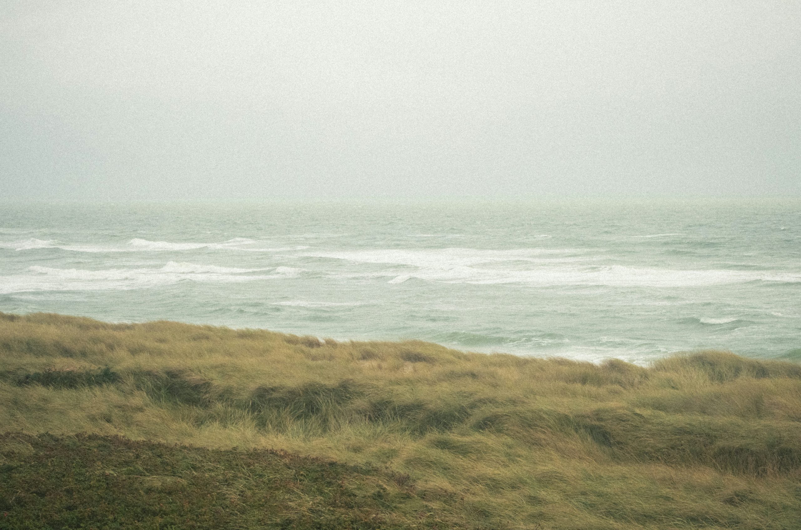 Serene Grassy Dunes Overlooking A