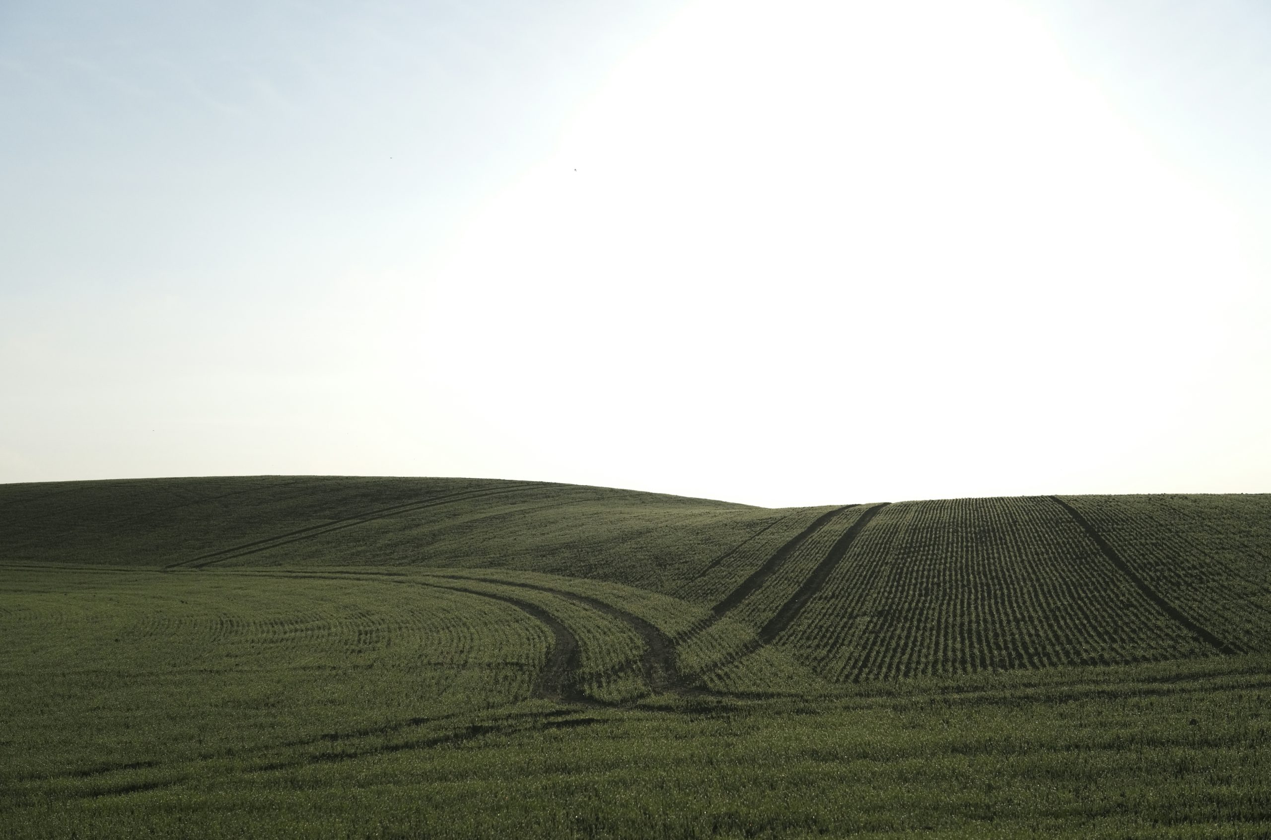 Serene Rolling Green Hills