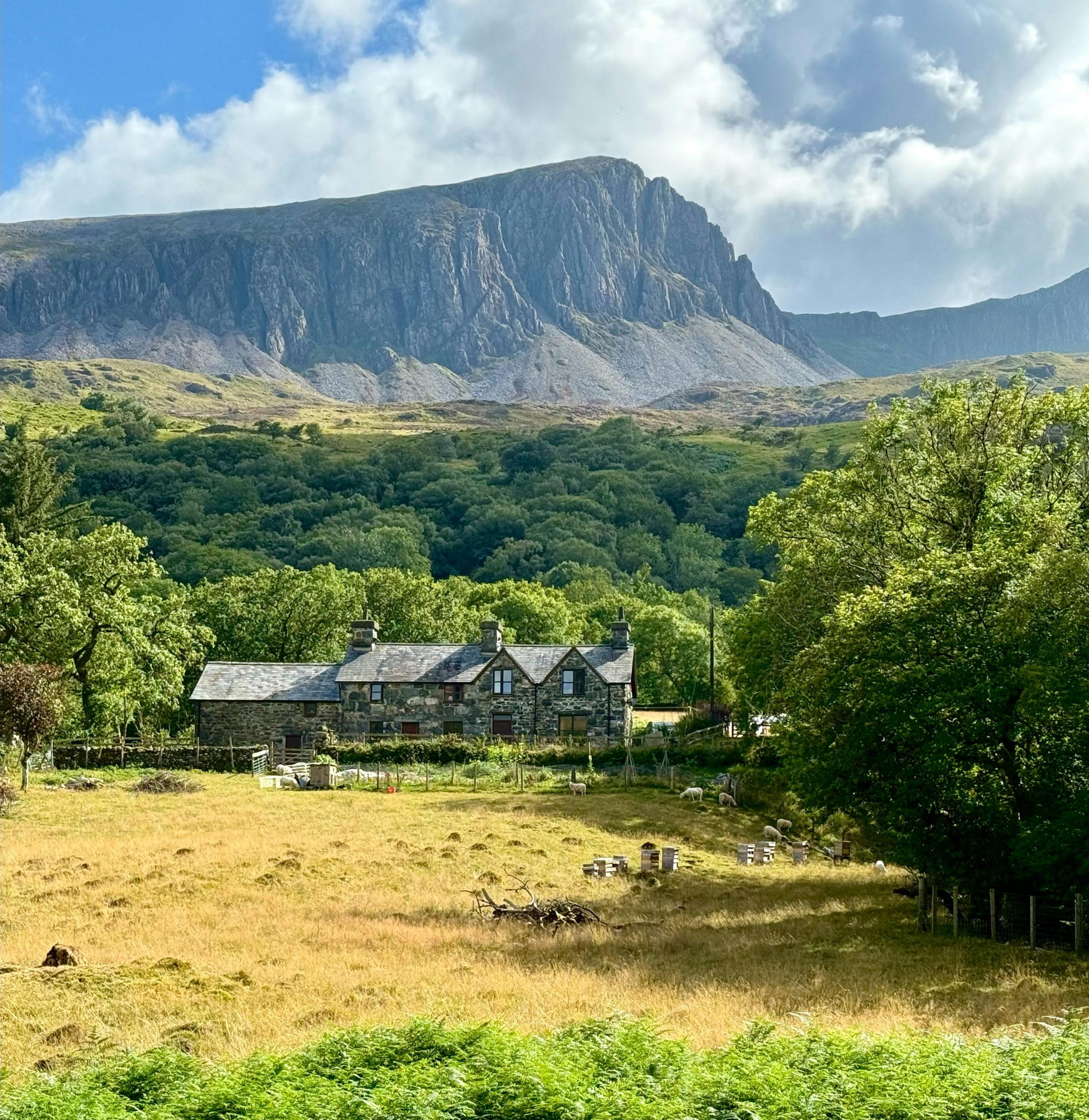 Serene Stone Farmhouse